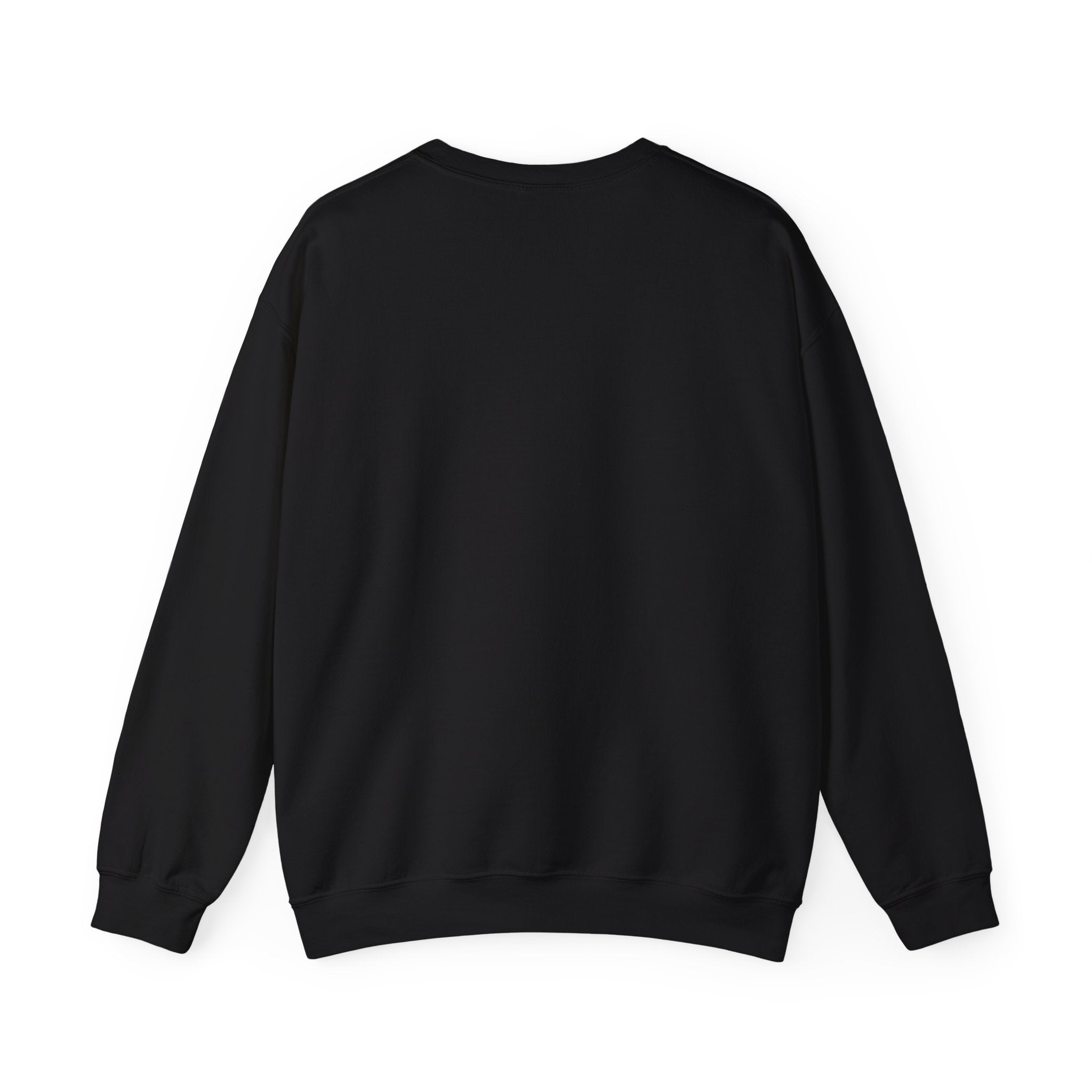 Punjaban sweatshirt