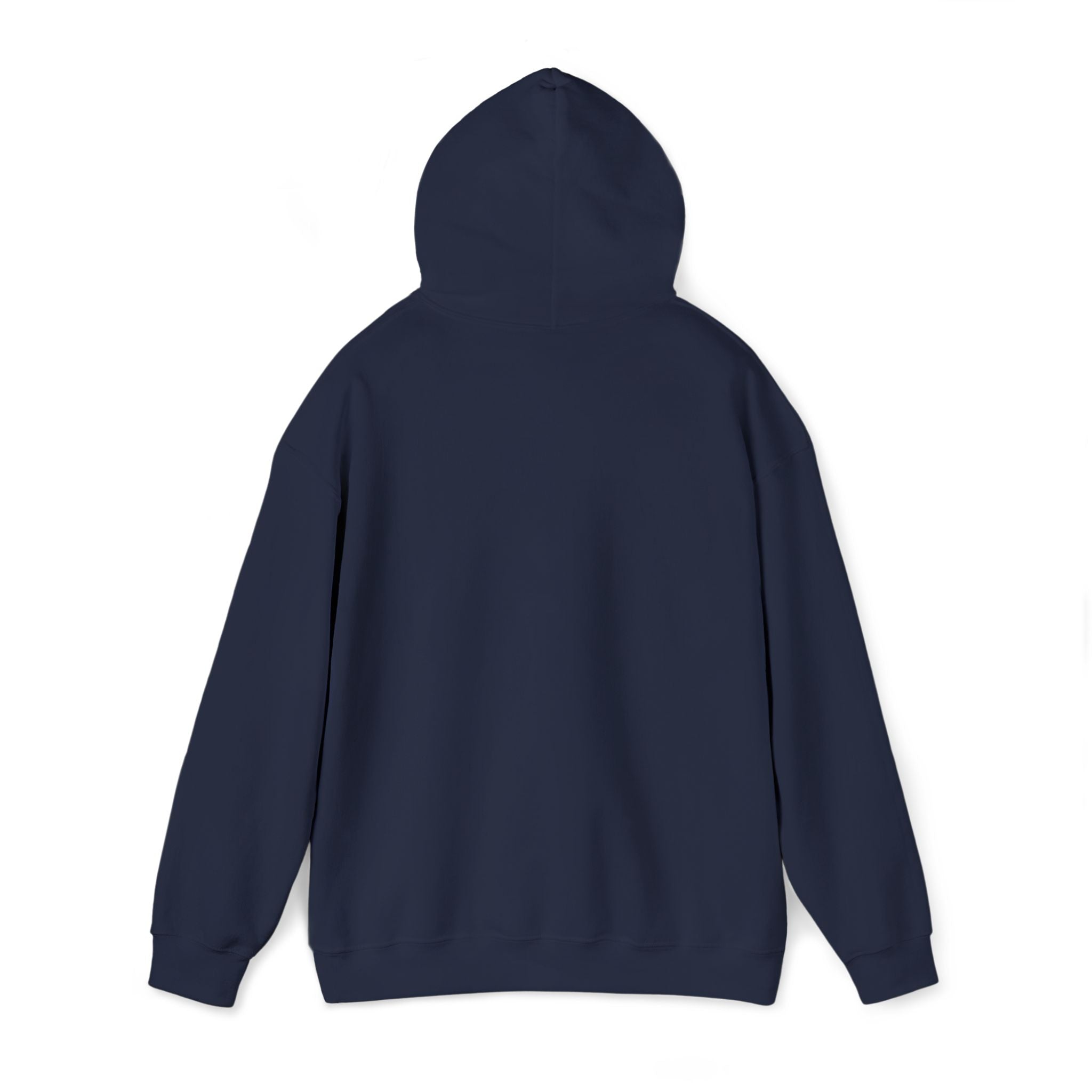 Embroidered "Singh is king" hoodie