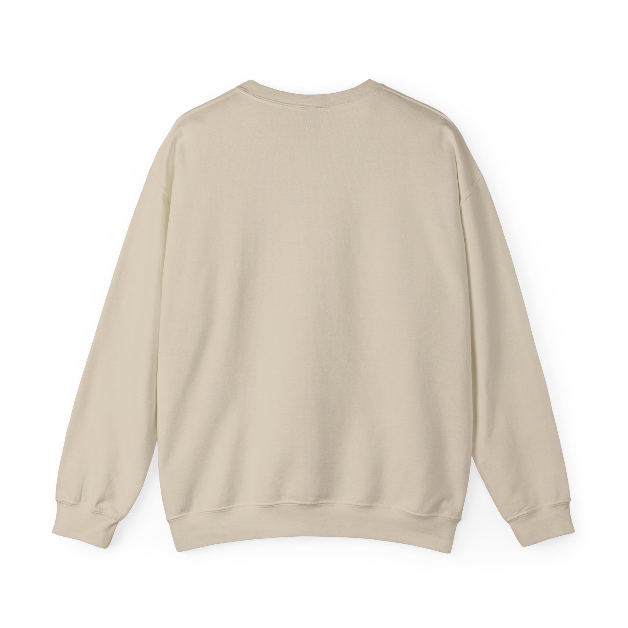 Punjaban sweatshirt
