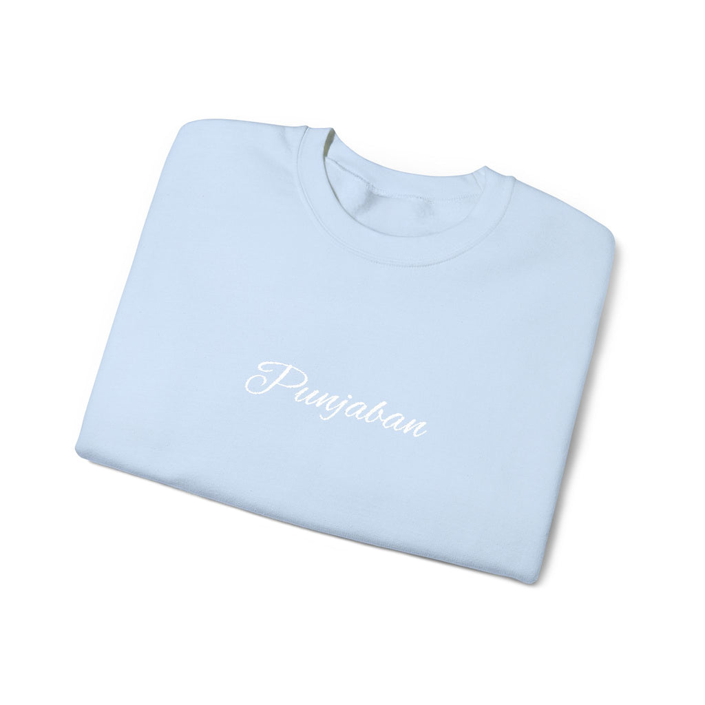 Embroidered Punjaban Sweatshirt