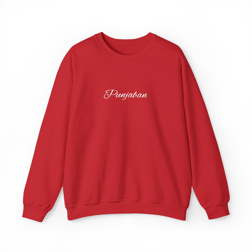 Embroidered Punjaban Sweatshirt