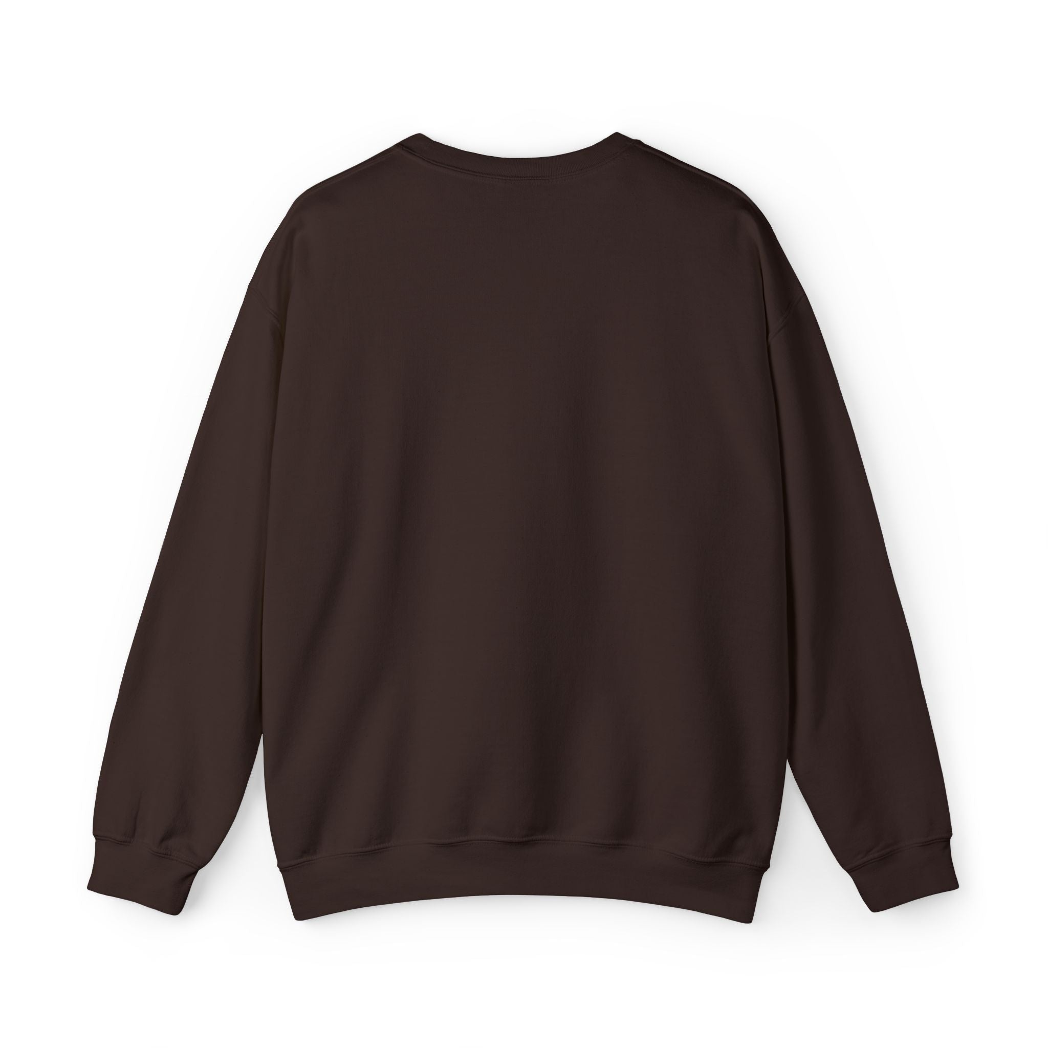 Embroidered Punjaban Sweatshirt