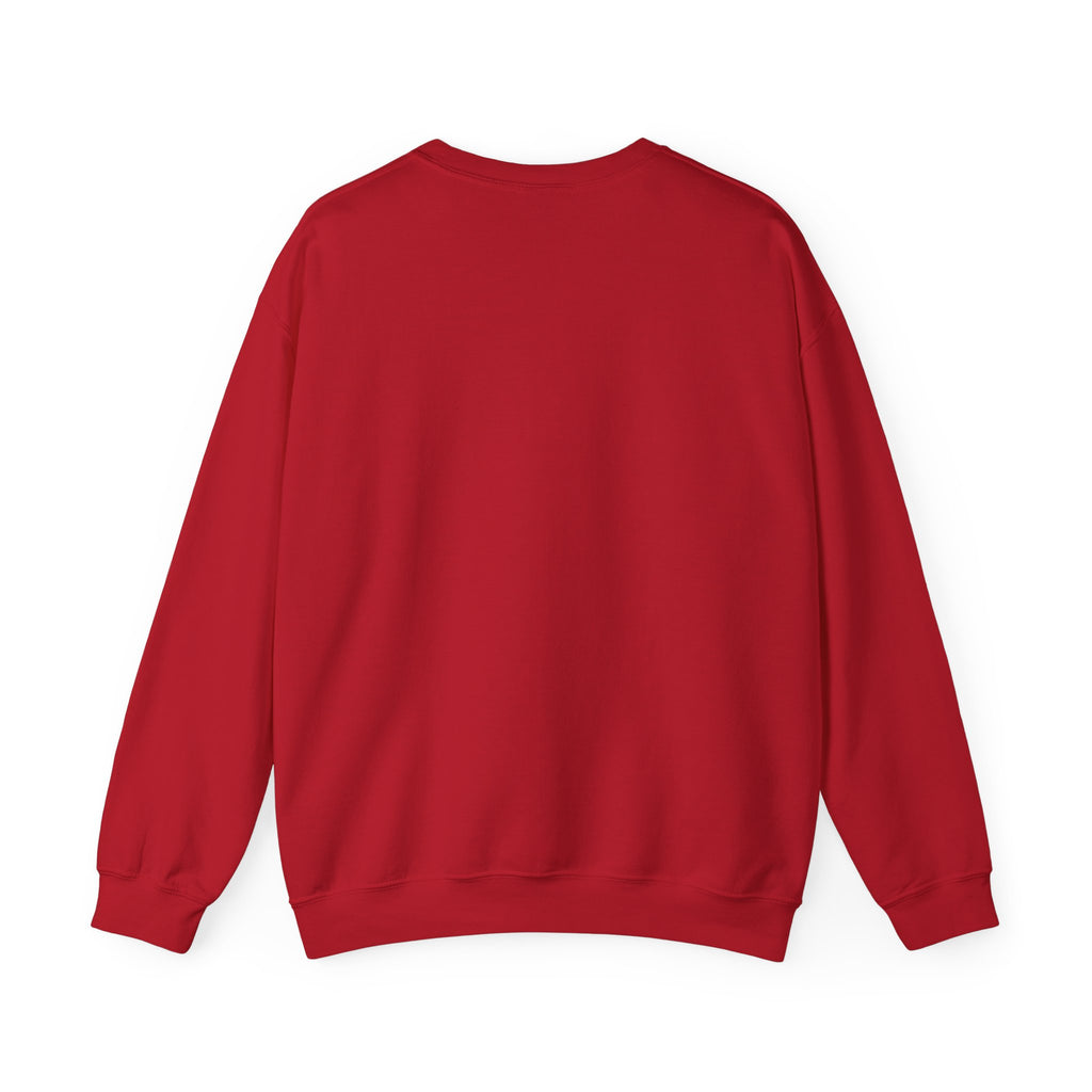 Punjaban sweatshirt