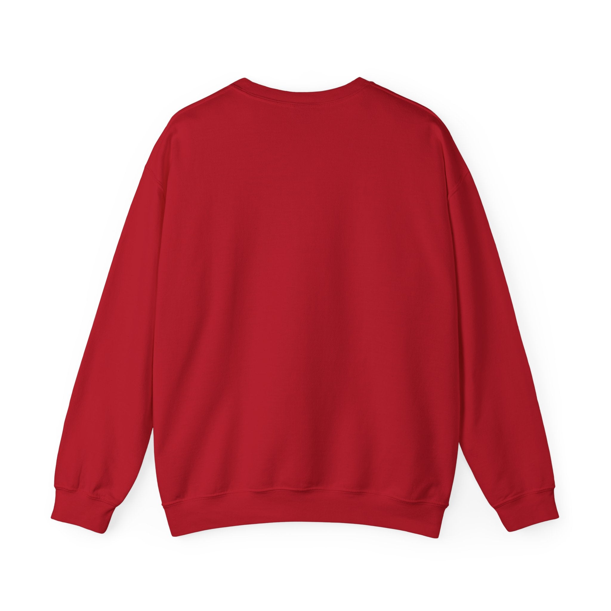 Punjaban sweatshirt