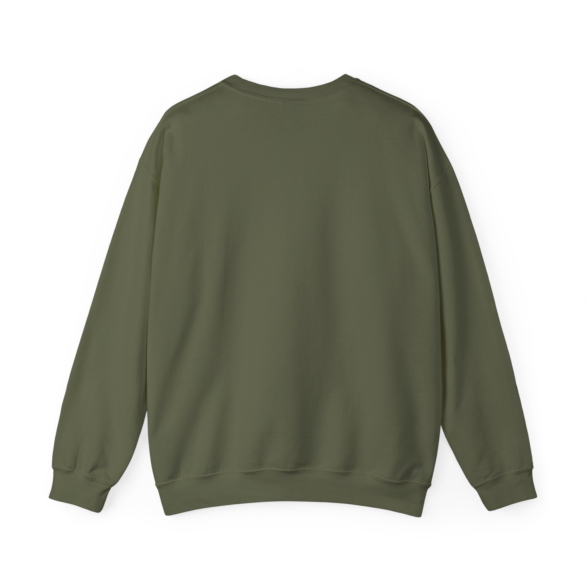 Punjaban sweatshirt