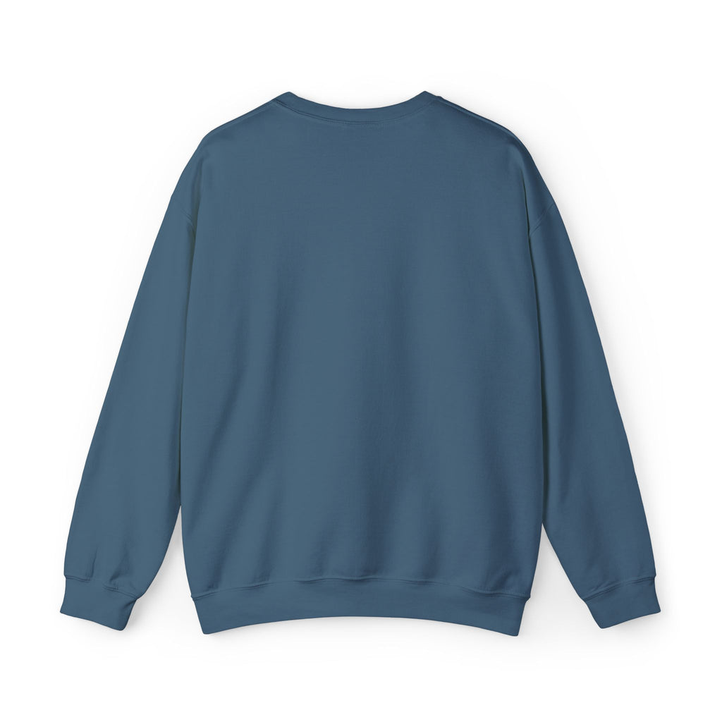 Embroidered Punjaban Sweatshirt