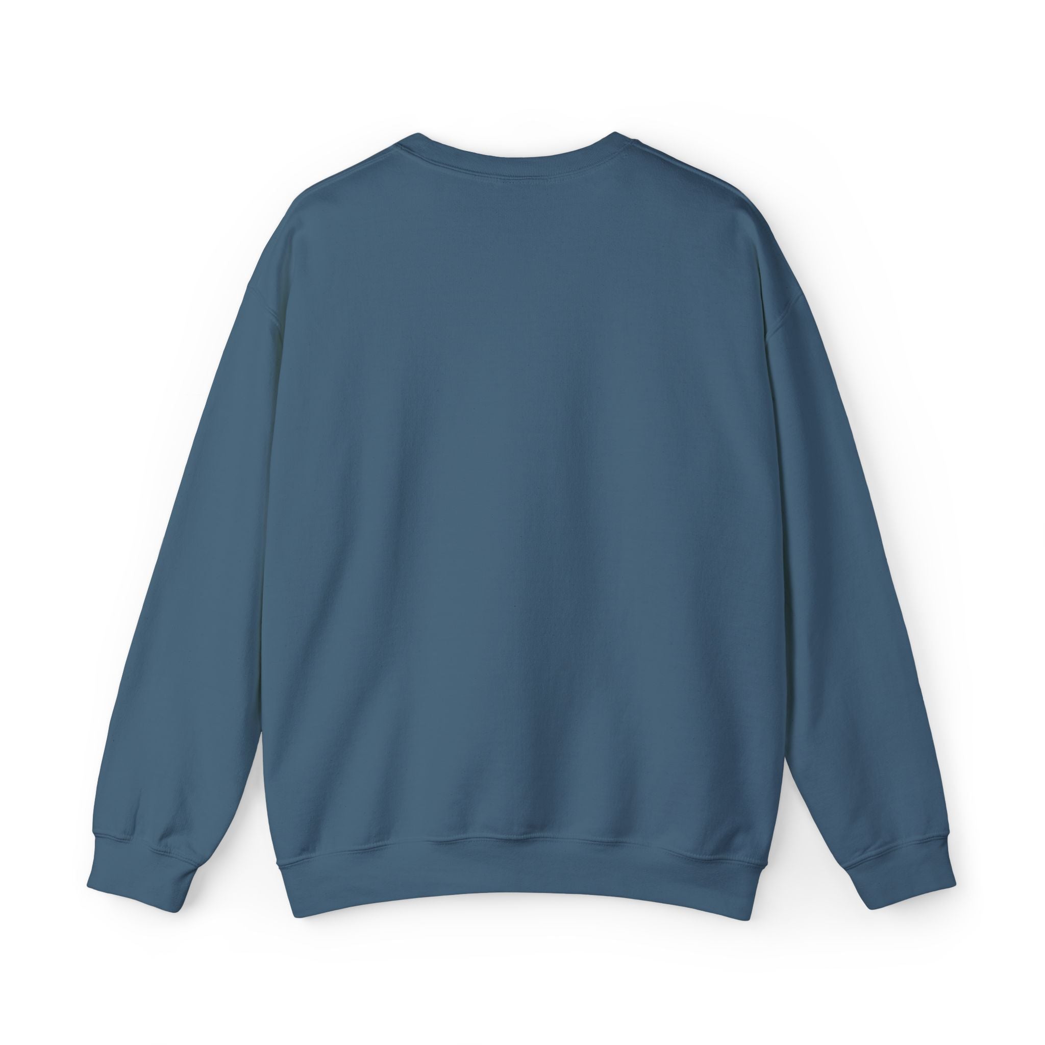 Embroidered Punjaban Sweatshirt