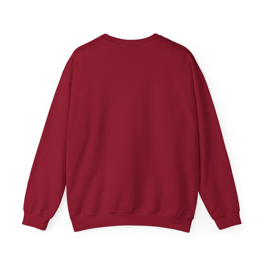 Punjaban sweatshirt