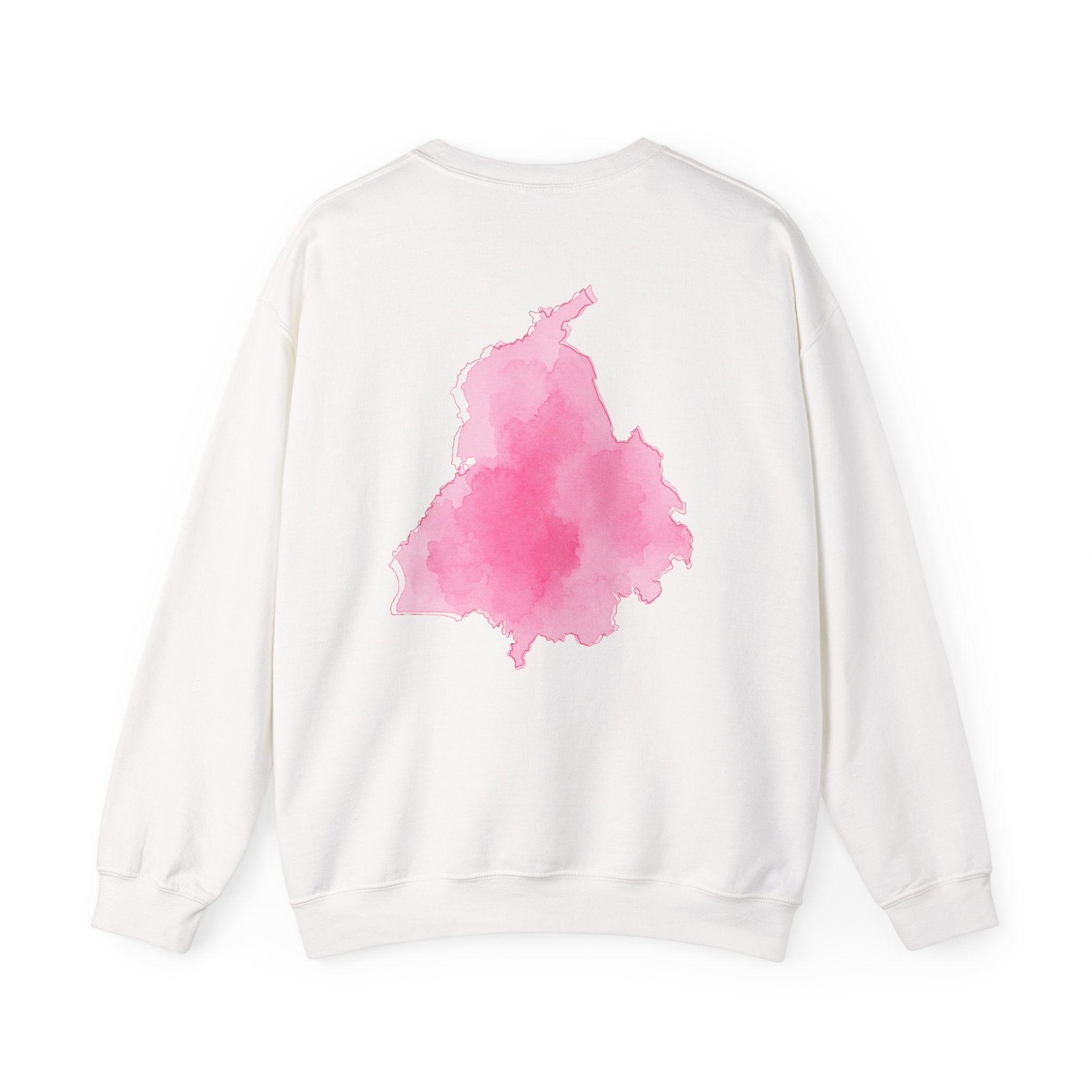 Water colour Punjab Hoodie