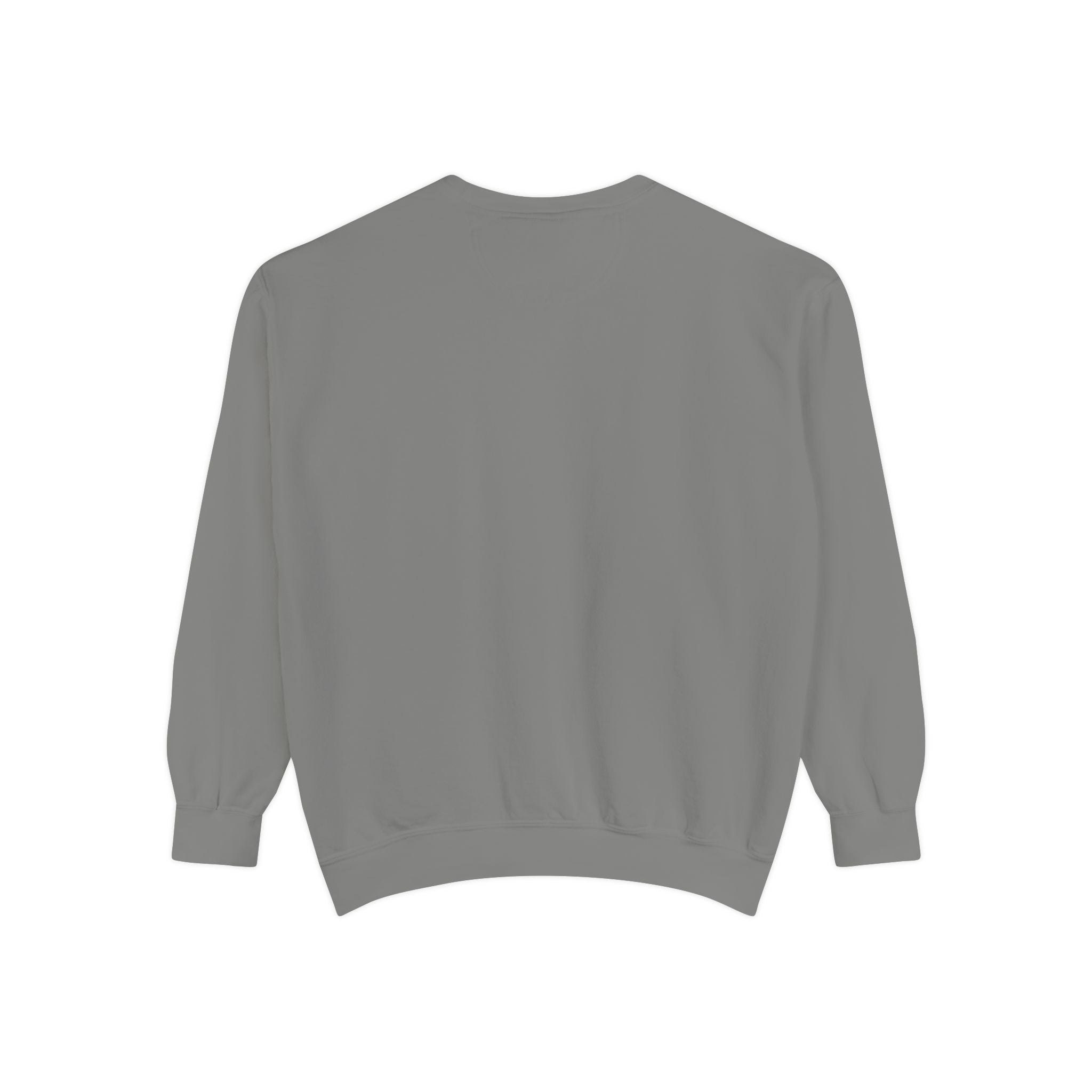 Rooted in Punjab unisex Sweatshirt