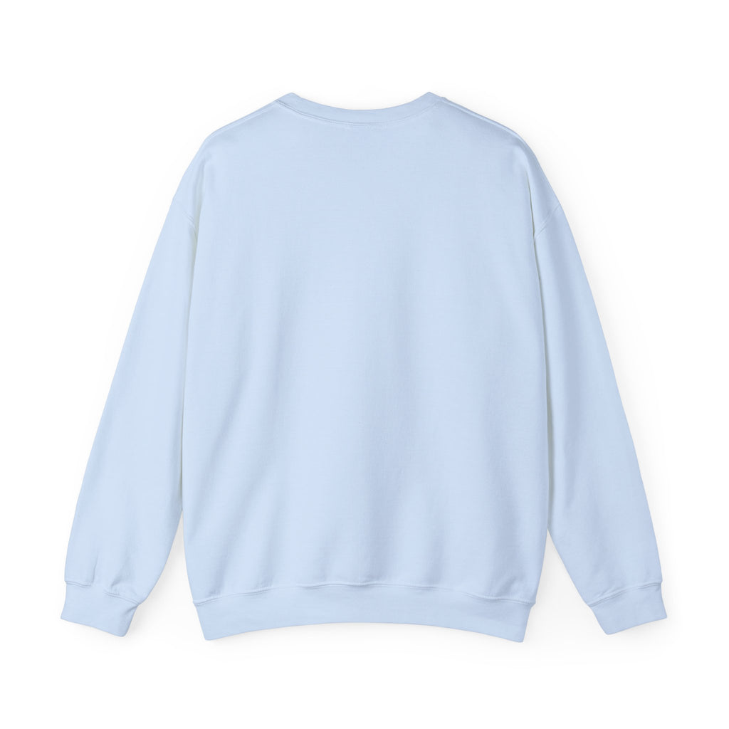 Punjaban sweatshirt
