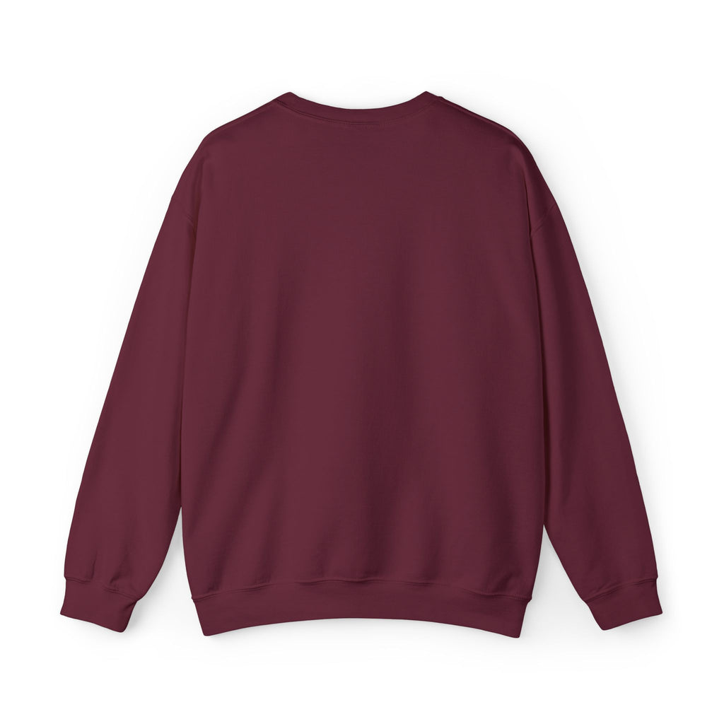 Embroidered Punjaban Sweatshirt