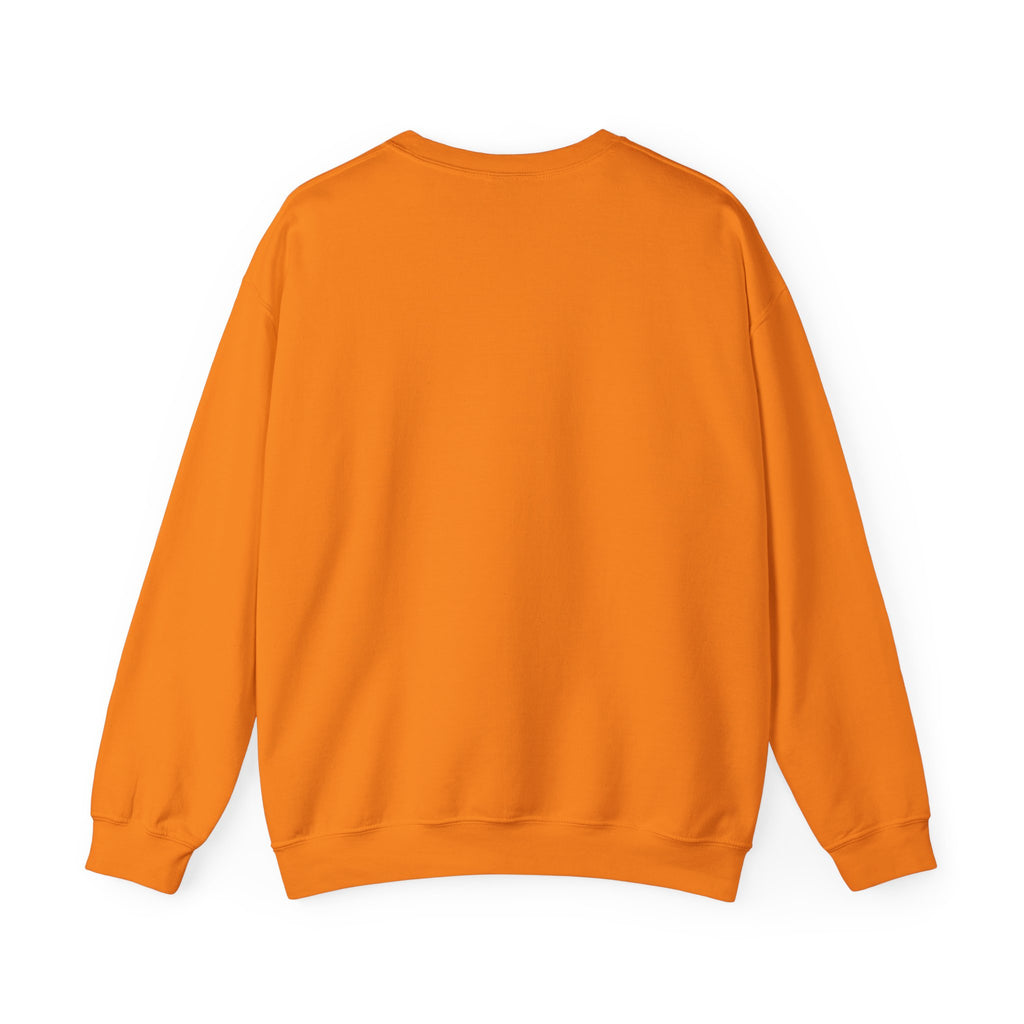 Punjaban sweatshirt