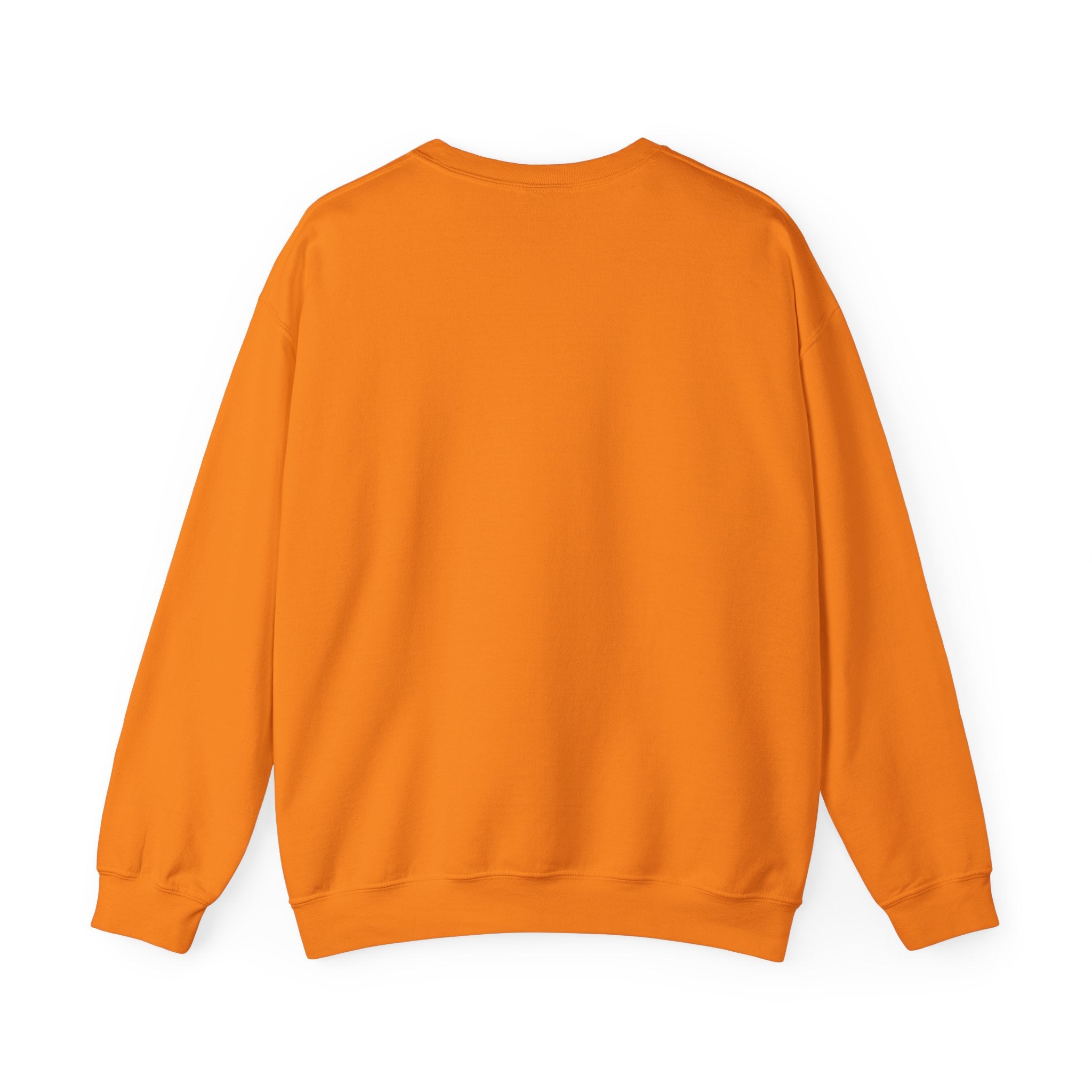 Punjaban sweatshirt