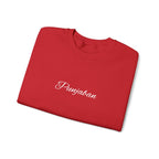 Embroidered Punjaban Sweatshirt