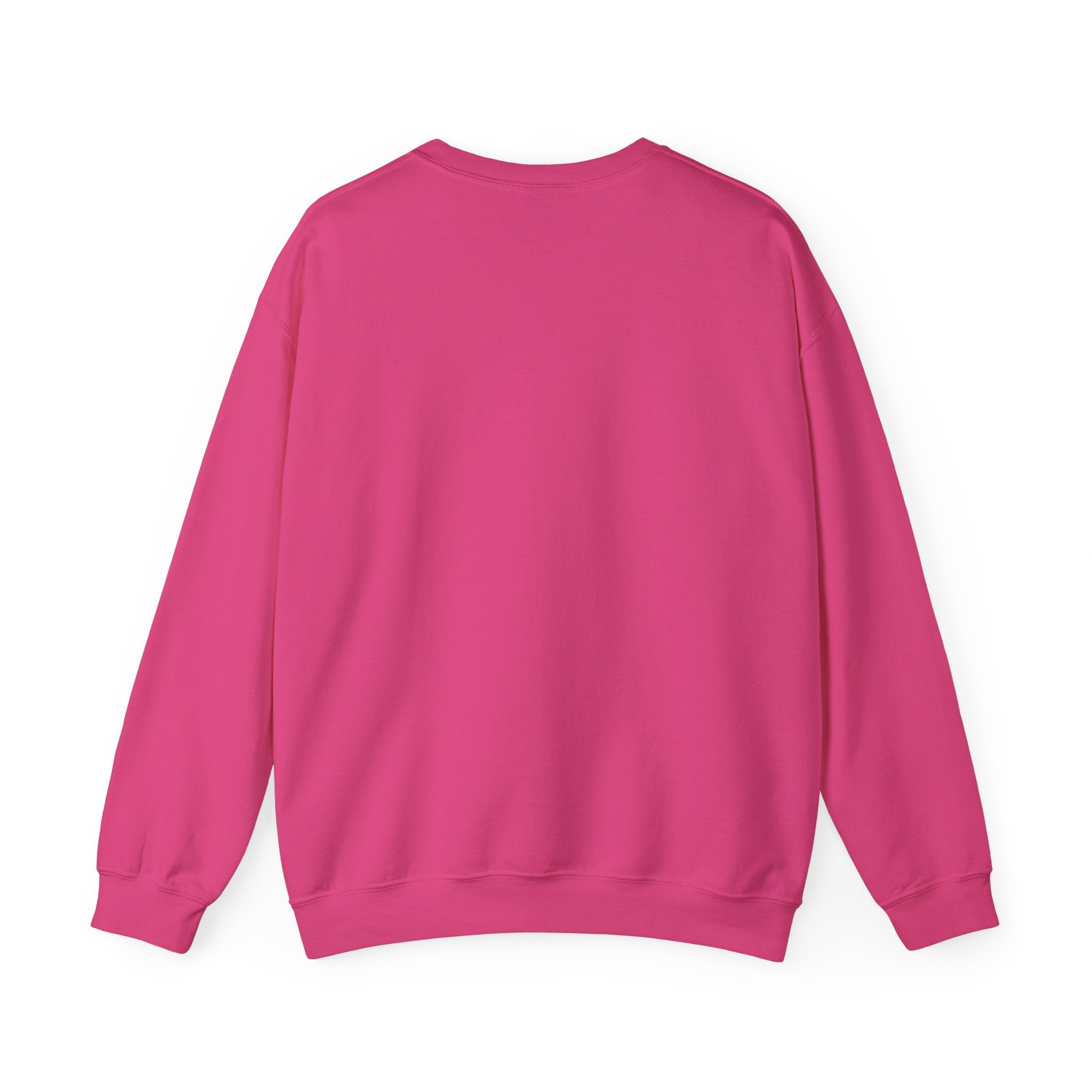 Punjaban sweatshirt