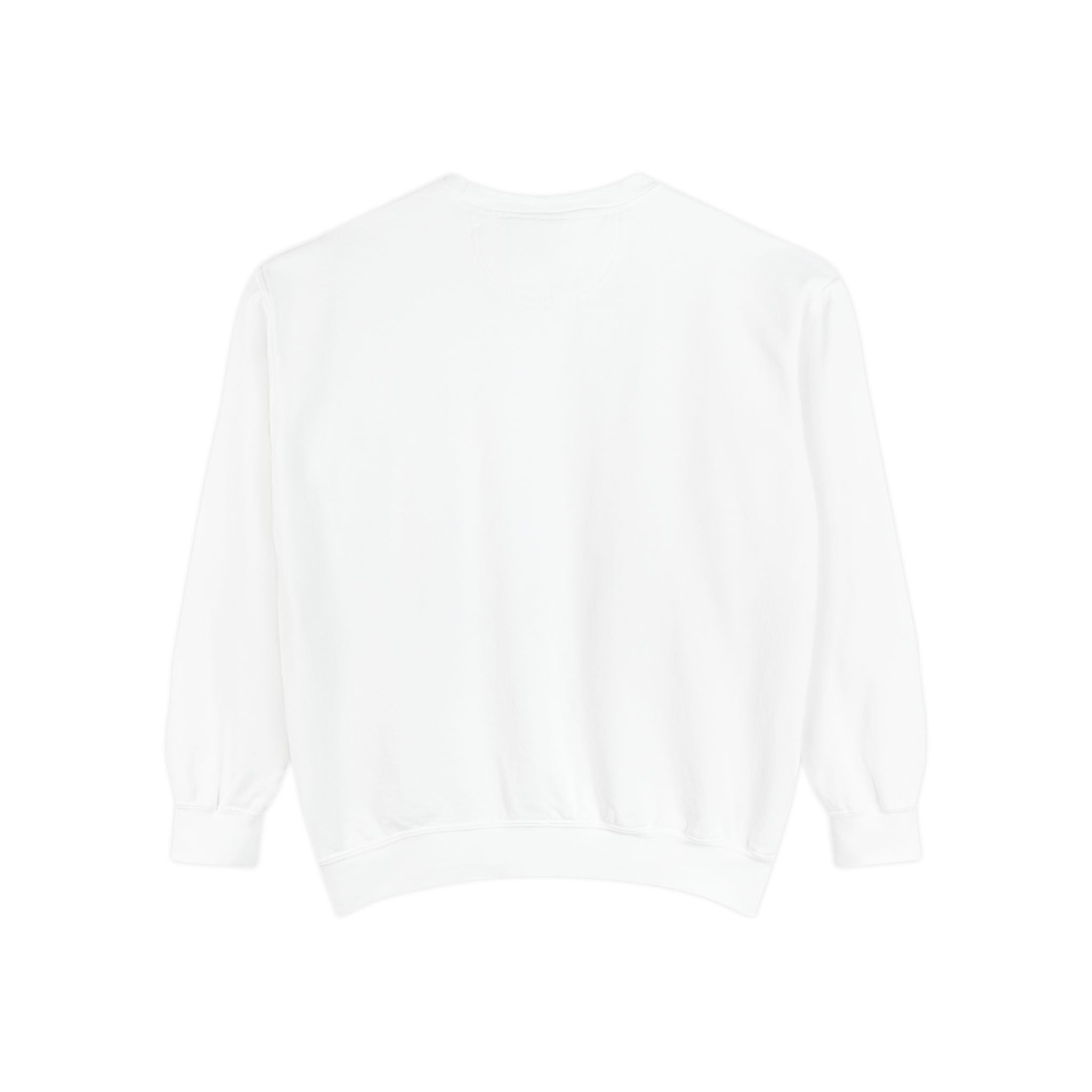 Rooted in Punjab unisex Sweatshirt