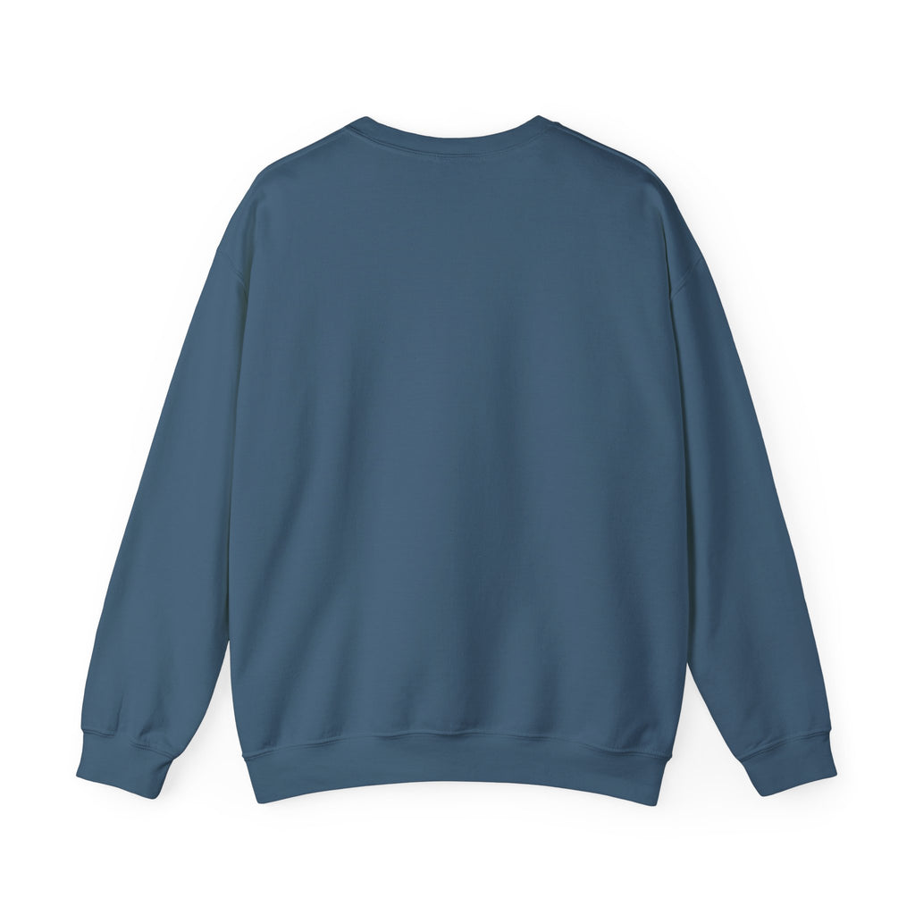 Punjaban sweatshirt