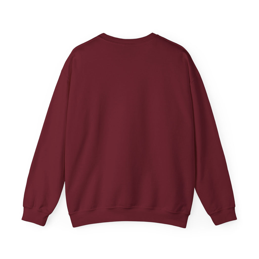 Punjaban sweatshirt