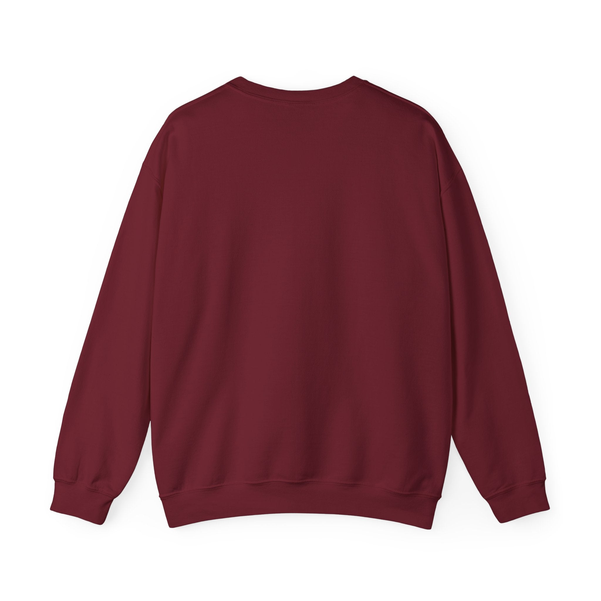 Punjaban sweatshirt