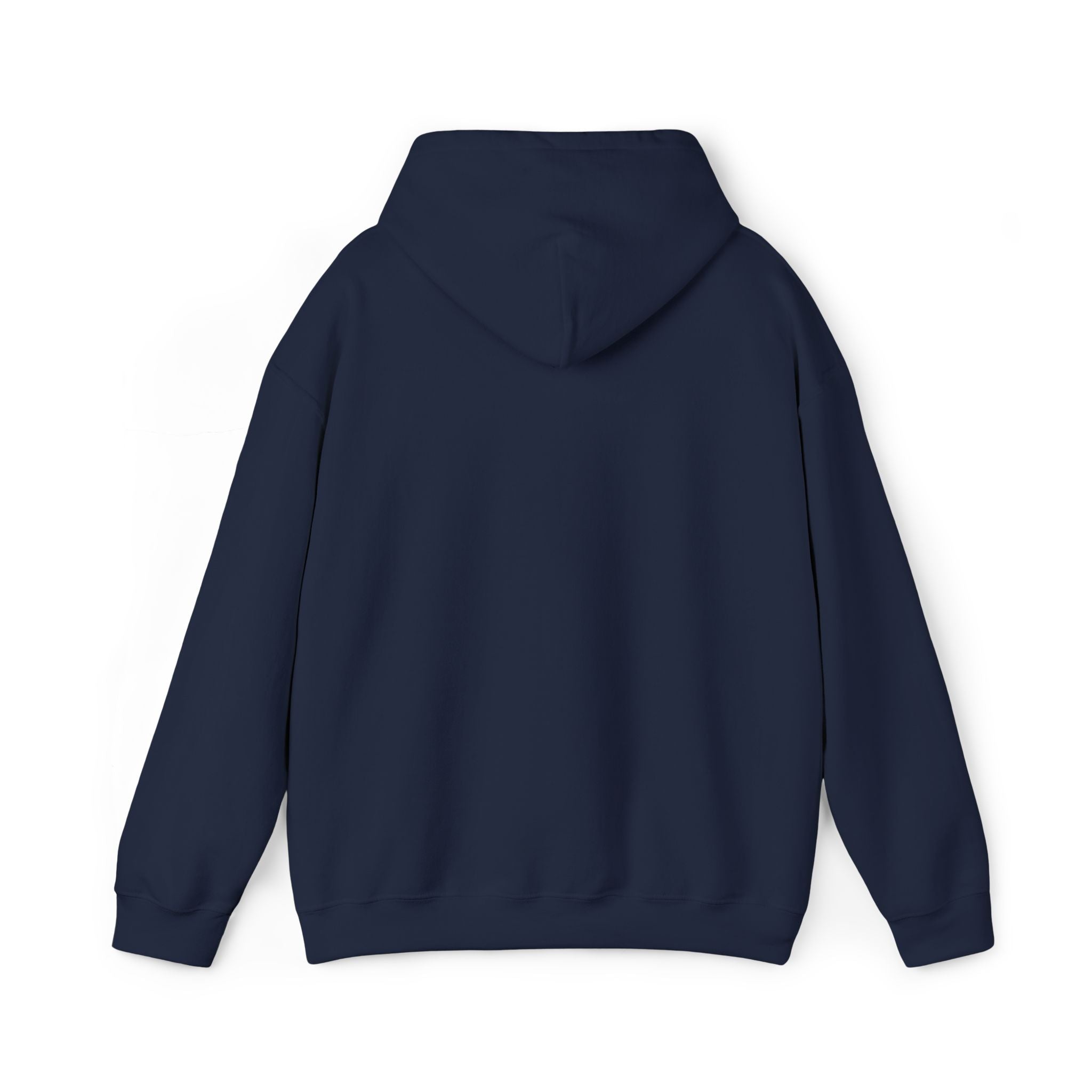 Embroidered "Singh is king" hoodie