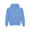 Rooted in Punjab Junior Hoodie