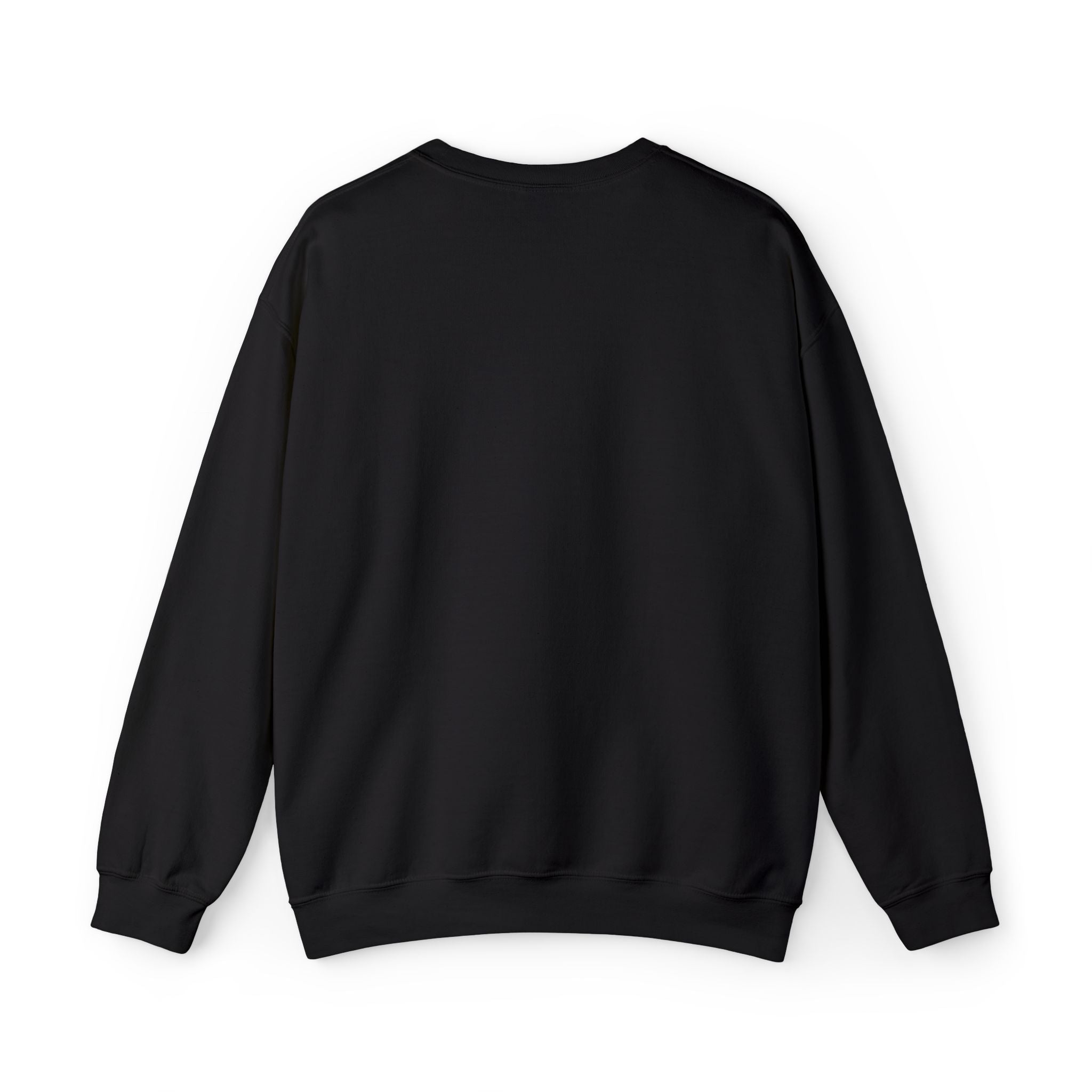 Embroidered Punjaban Sweatshirt