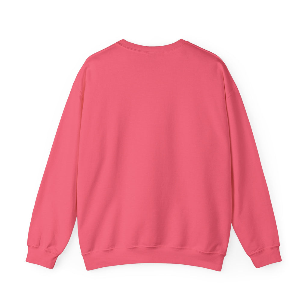 Punjaban sweatshirt