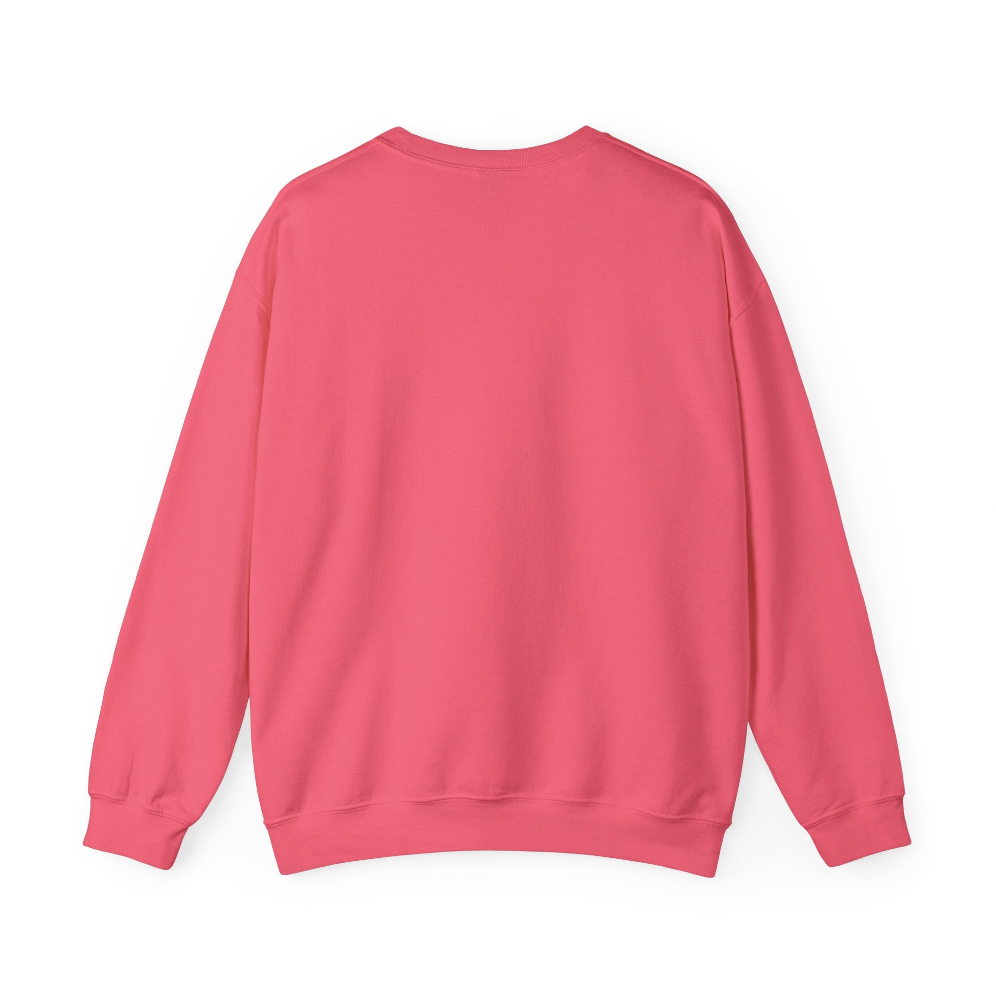 Punjaban sweatshirt