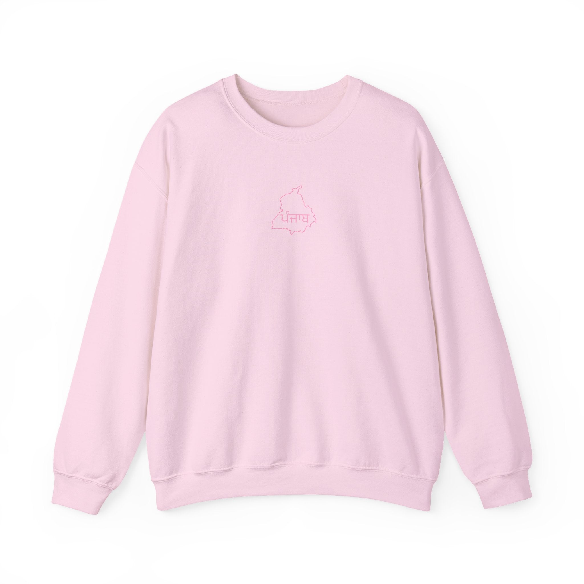 Water colour Punjab Hoodie