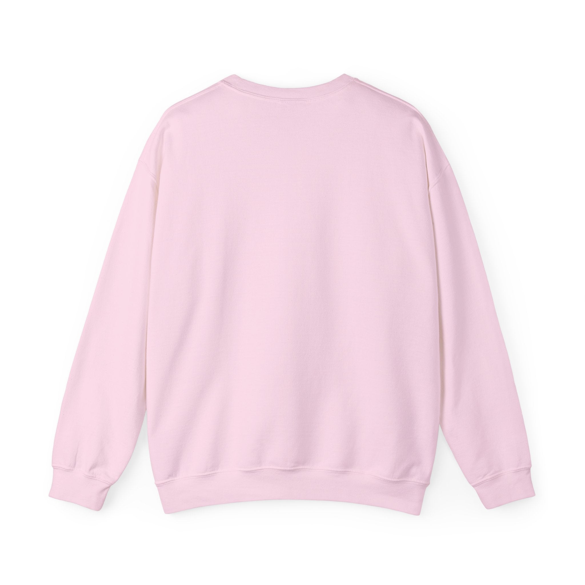 Punjaban sweatshirt