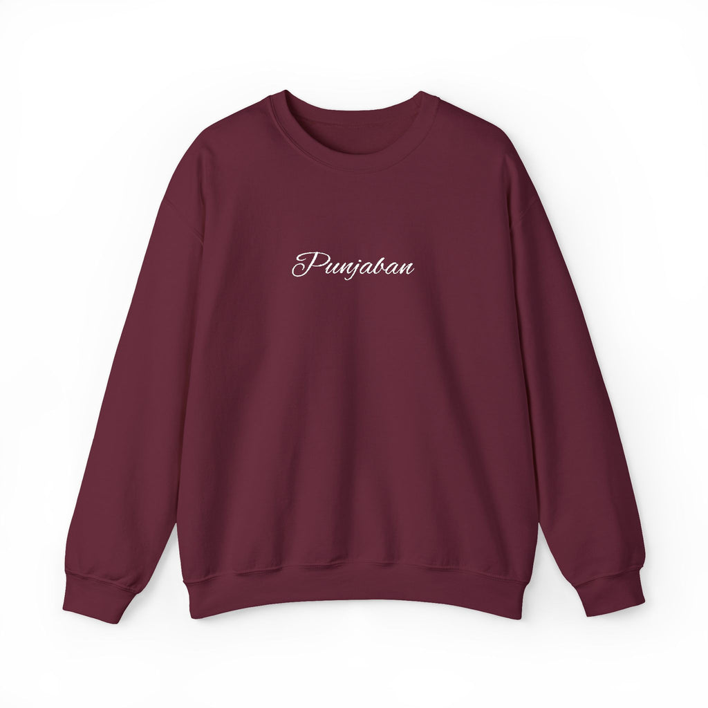 Embroidered Punjaban Sweatshirt