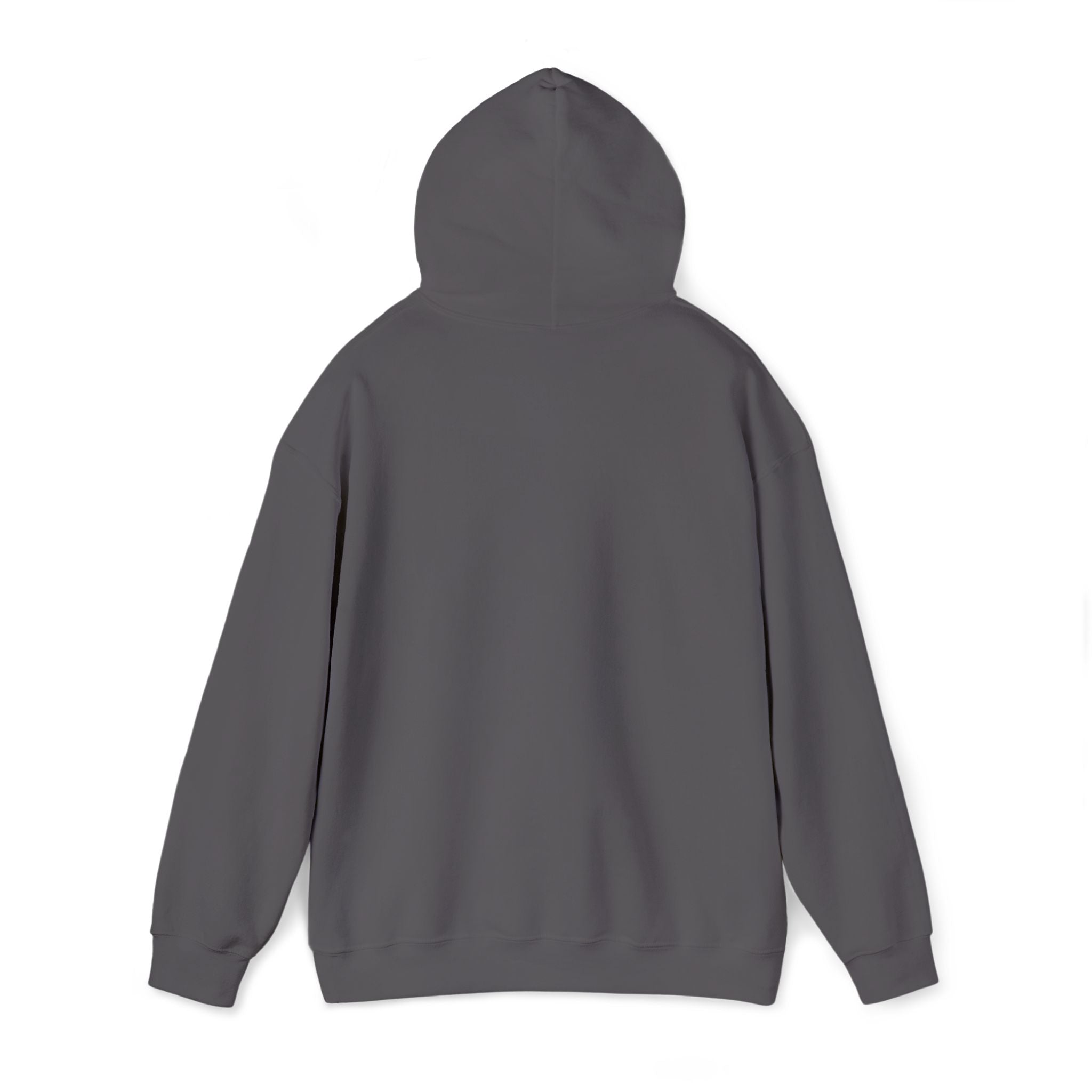 Embroidered "Singh is king" hoodie