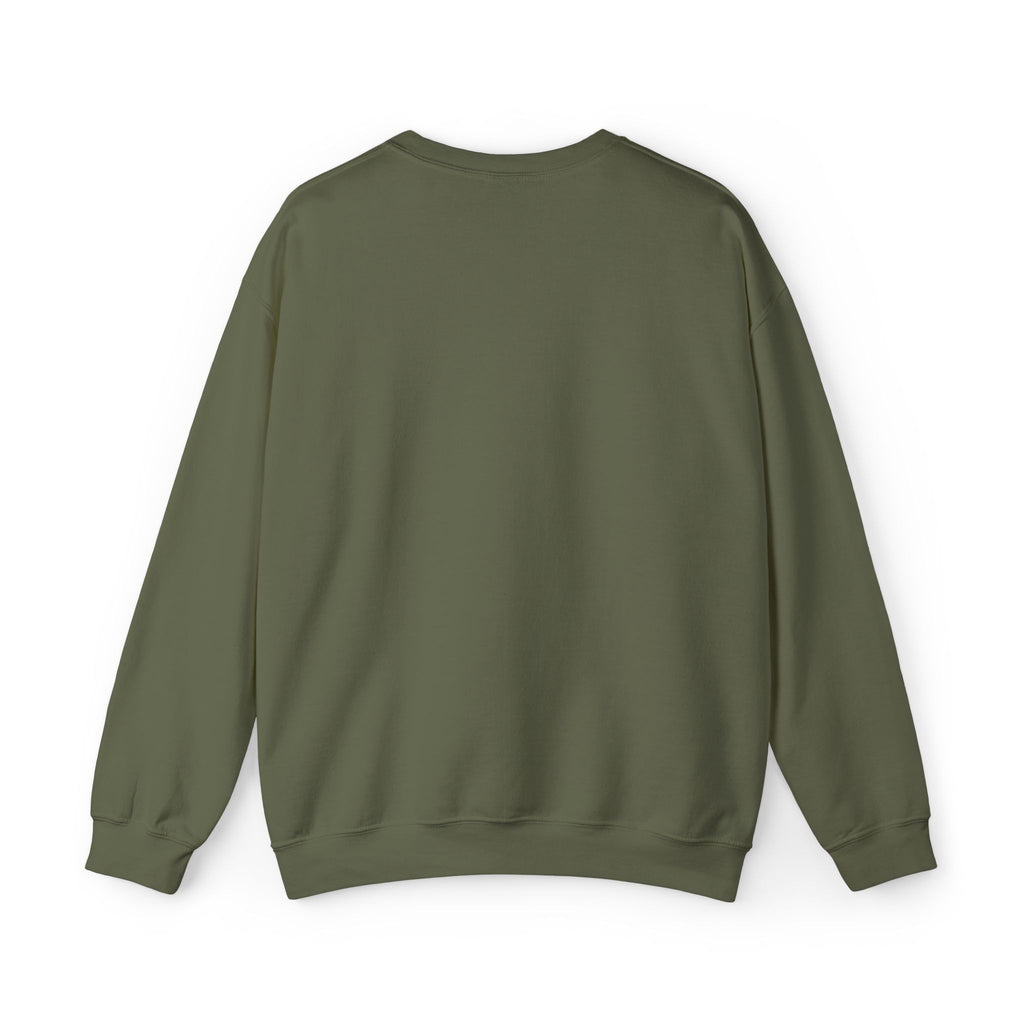 Embroidered Punjaban Sweatshirt