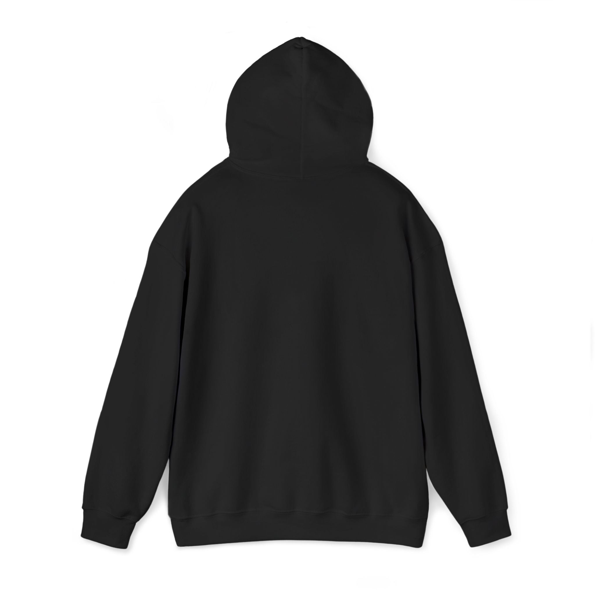 Embroidered "Singh is king" hoodie