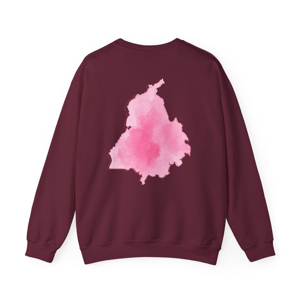 Water colour Punjab Hoodie