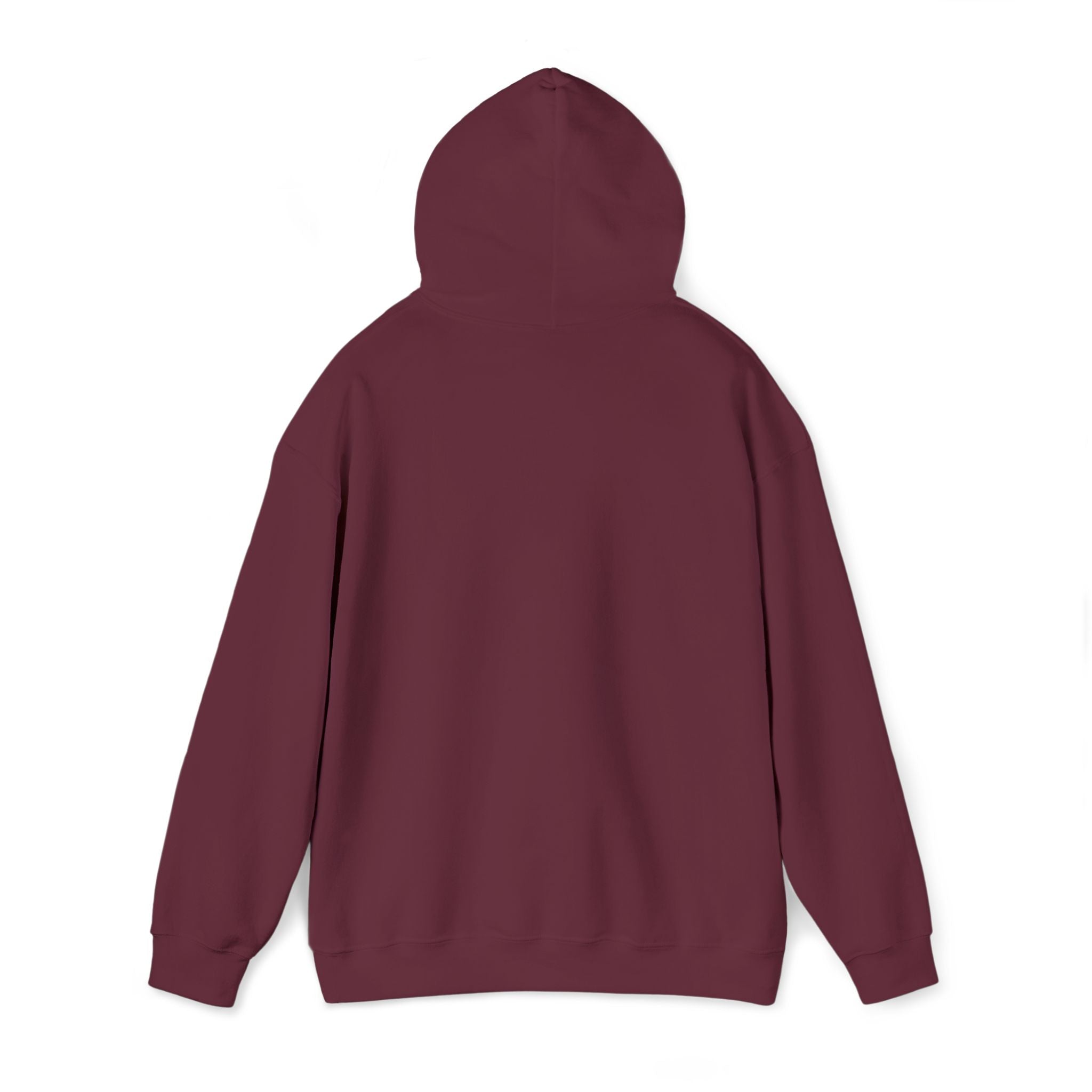 Embroidered "Singh is king" hoodie