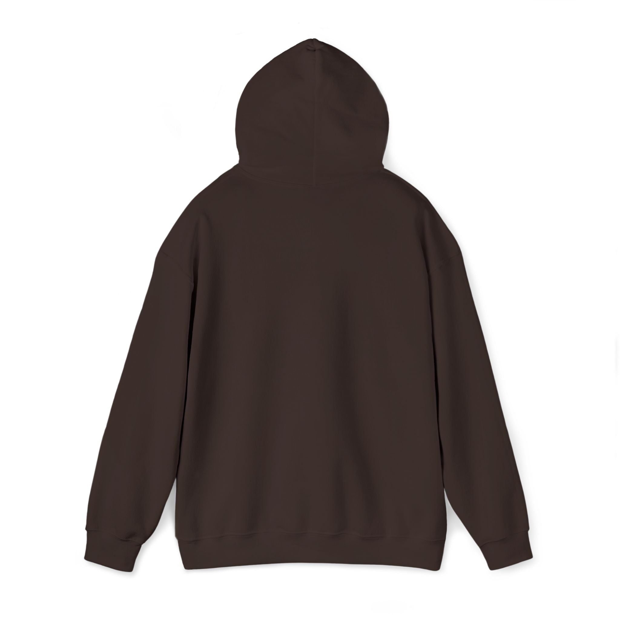 Embroidered "Singh is king" hoodie