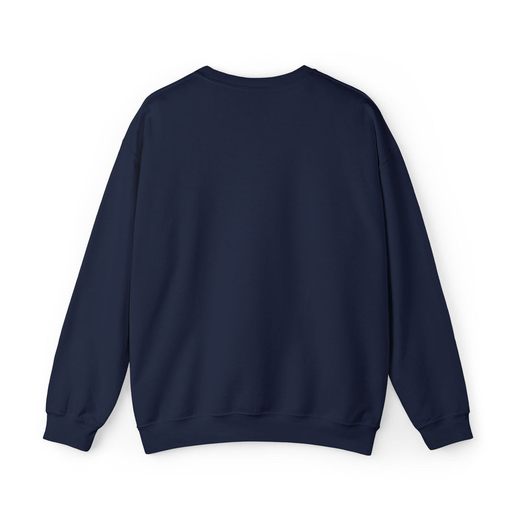 Embroidered Punjaban Sweatshirt