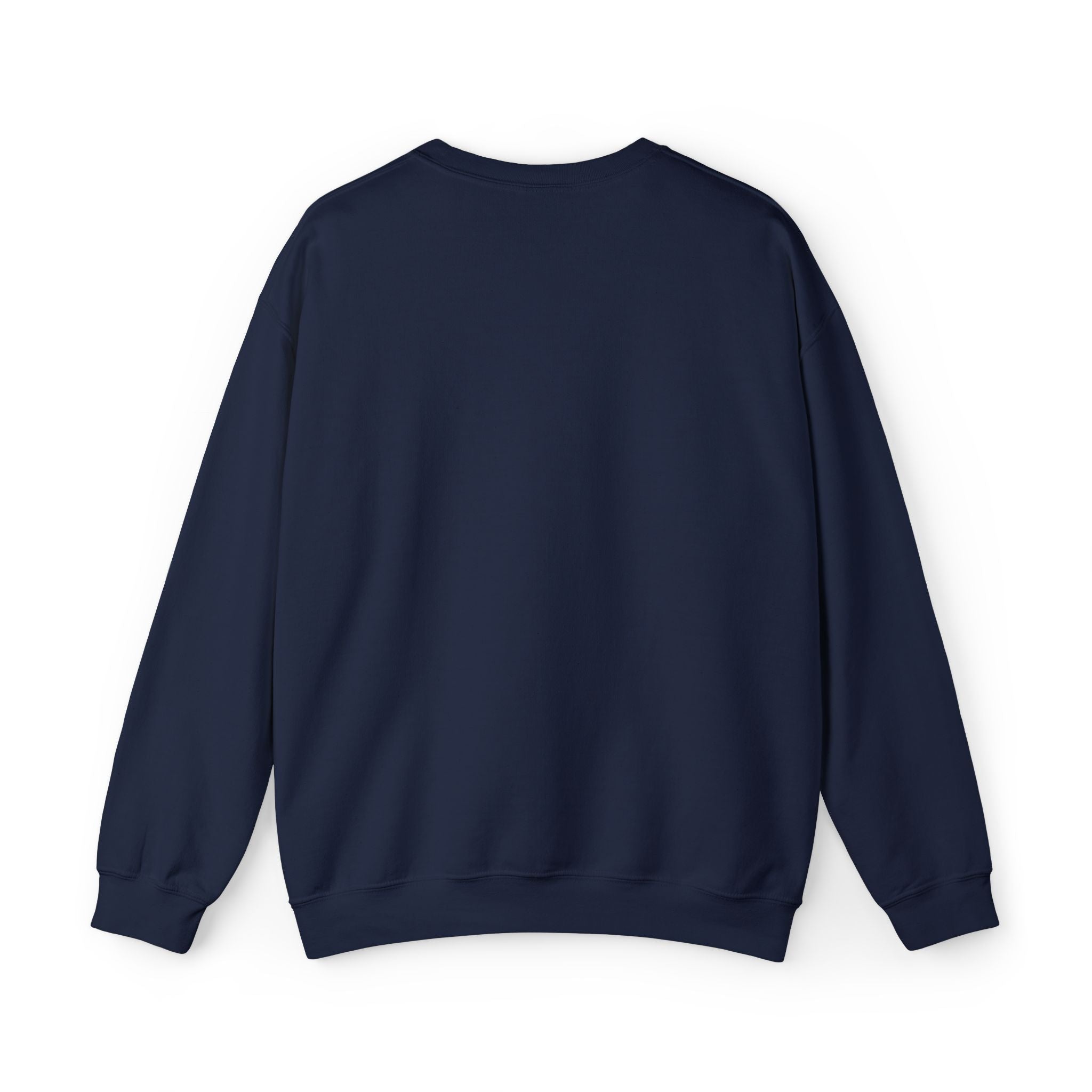 Embroidered Punjaban Sweatshirt