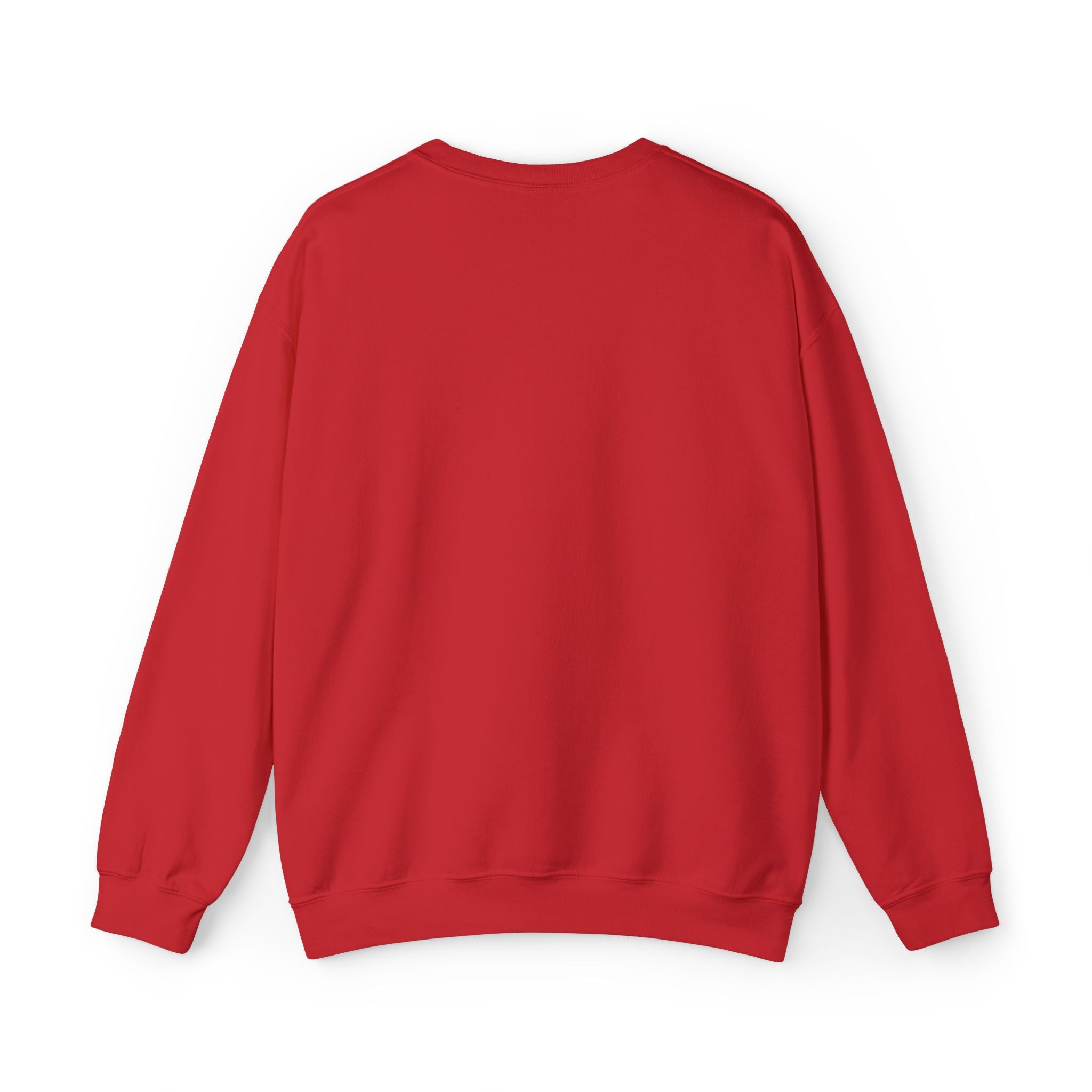Embroidered Punjaban Sweatshirt