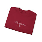 Punjaban sweatshirt