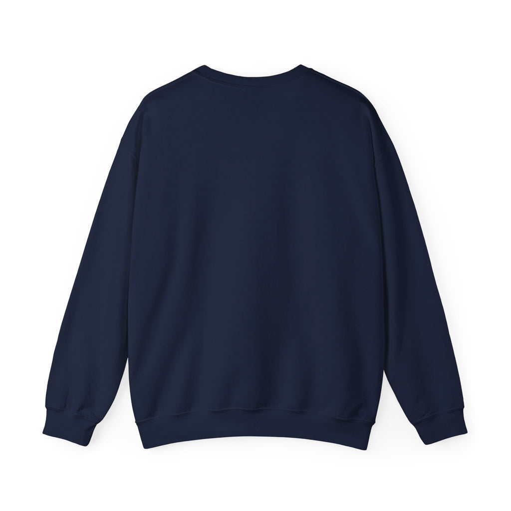 Punjaban sweatshirt