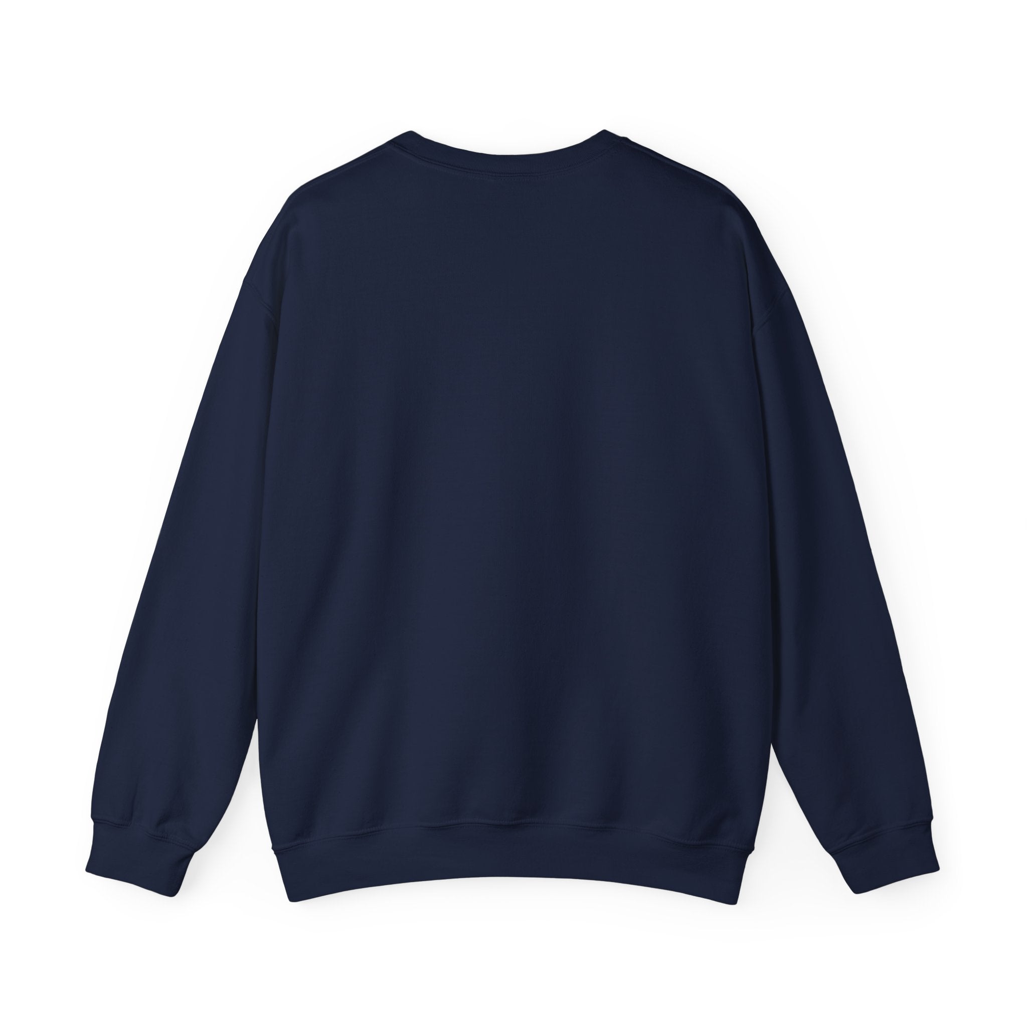 Punjaban sweatshirt
