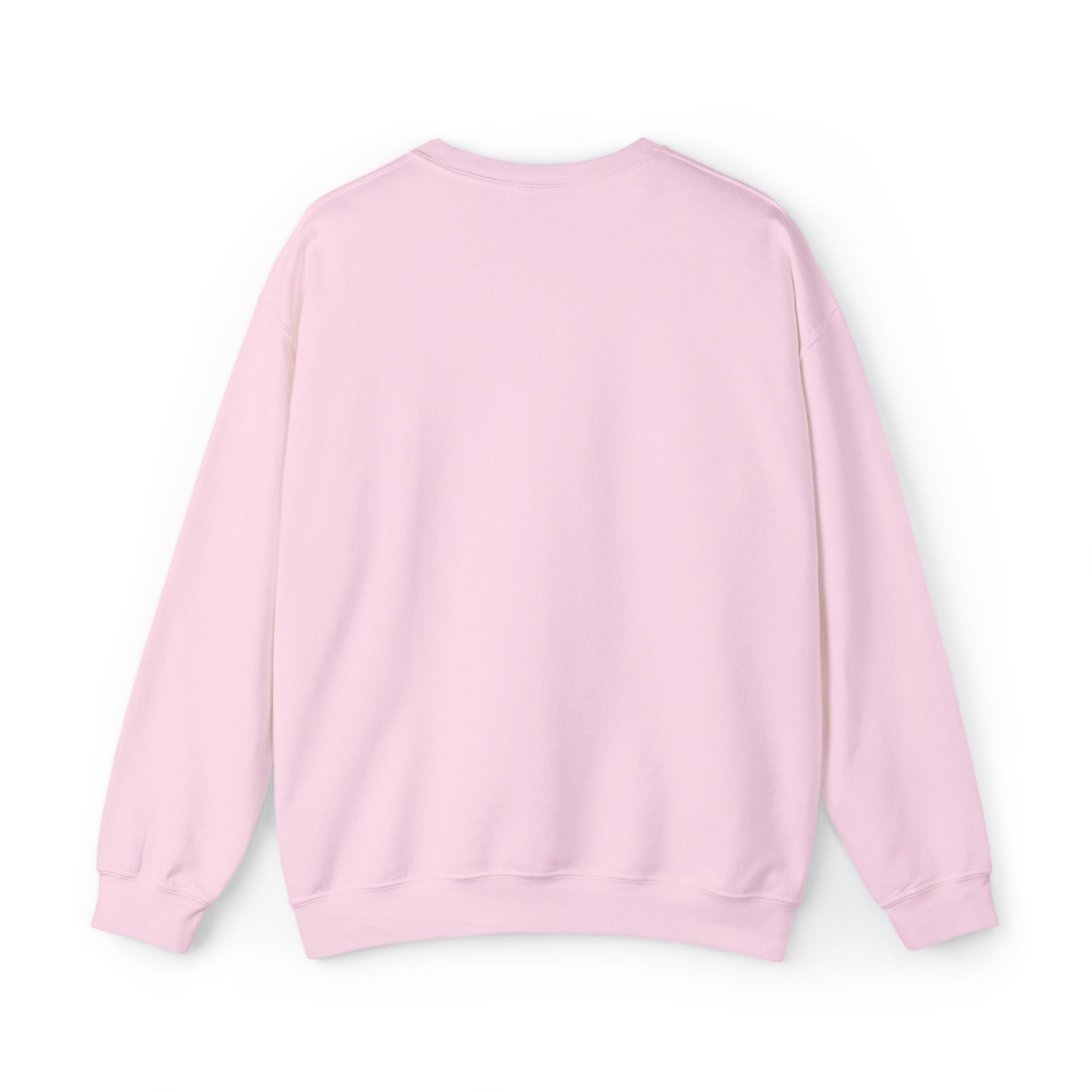 Embroidered Punjaban Sweatshirt
