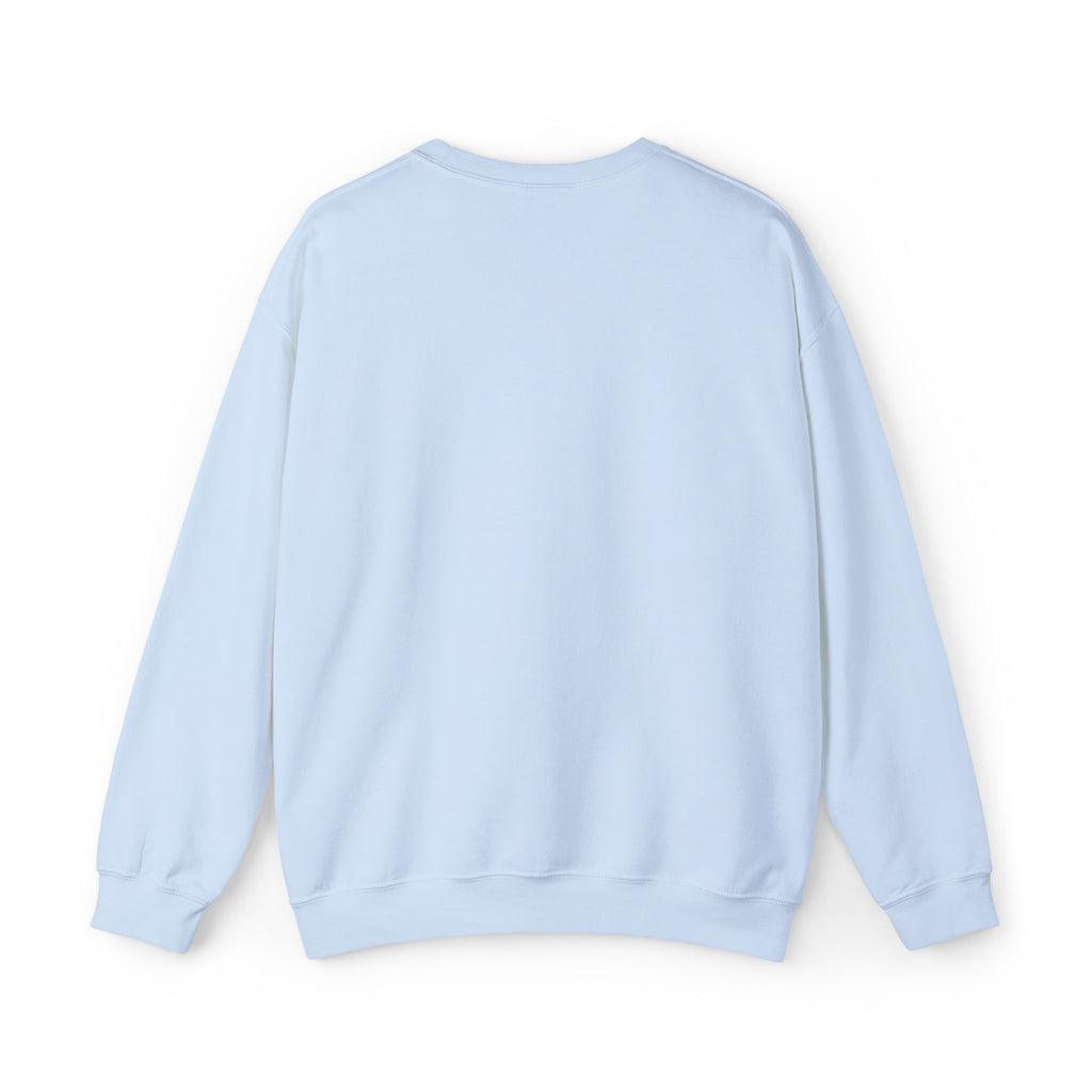 Embroidered Punjaban Sweatshirt