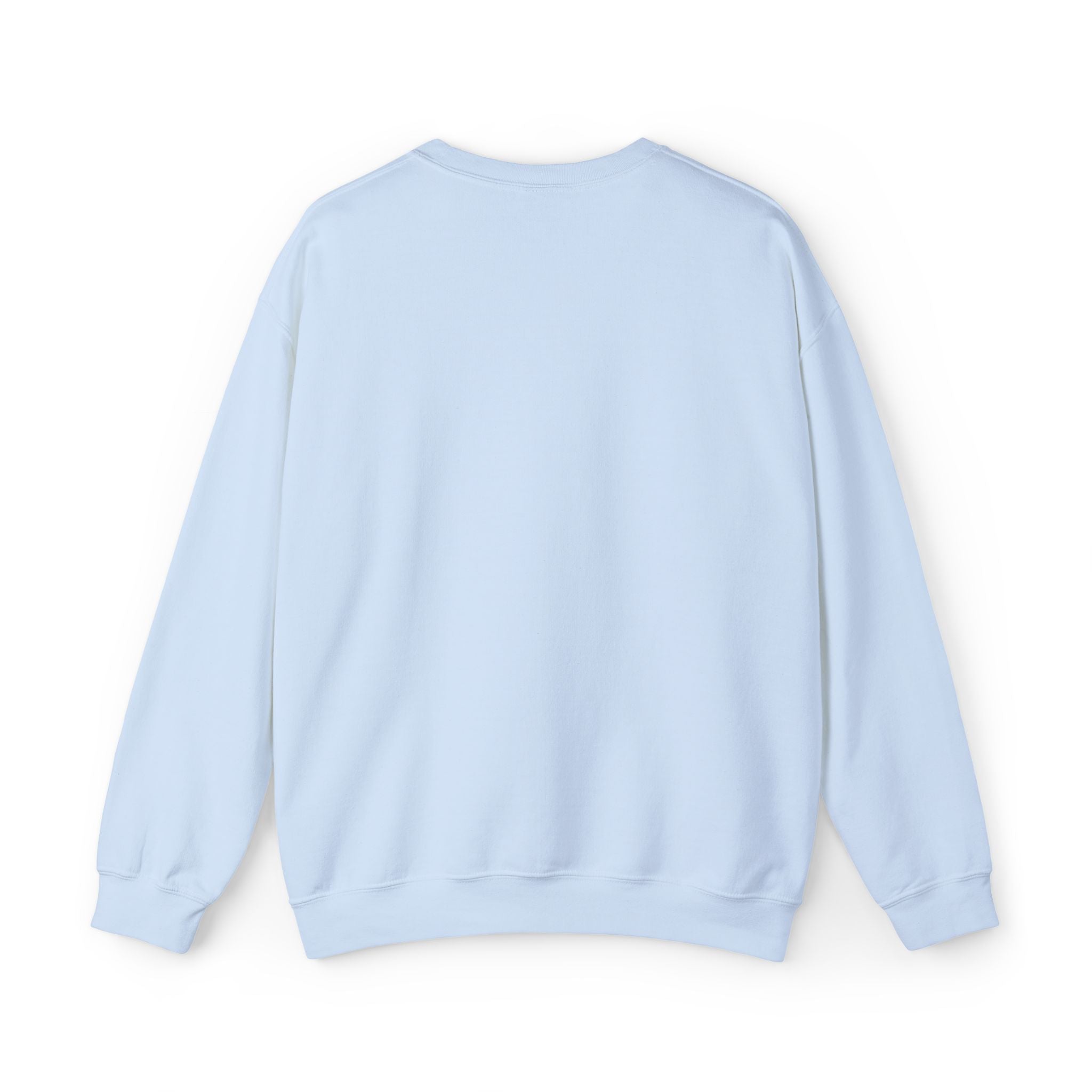 Embroidered Punjaban Sweatshirt