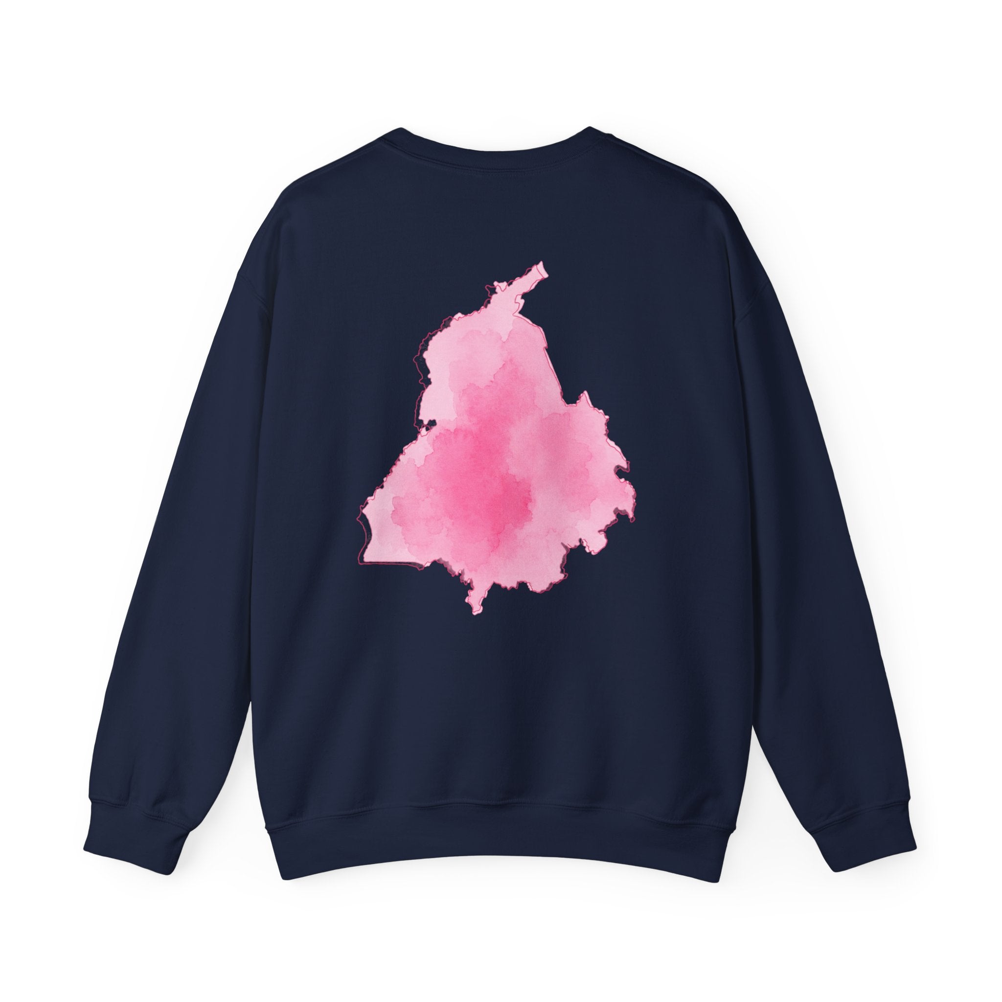 Water colour Punjab Hoodie