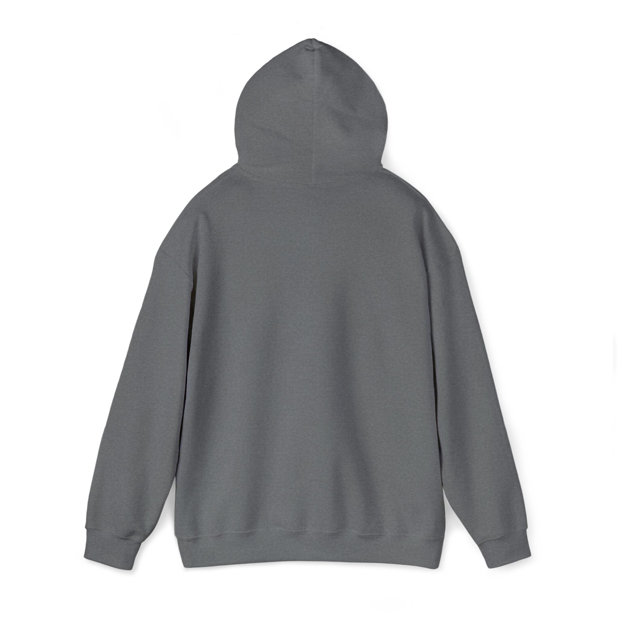 Embroidered "Singh is king" hoodie