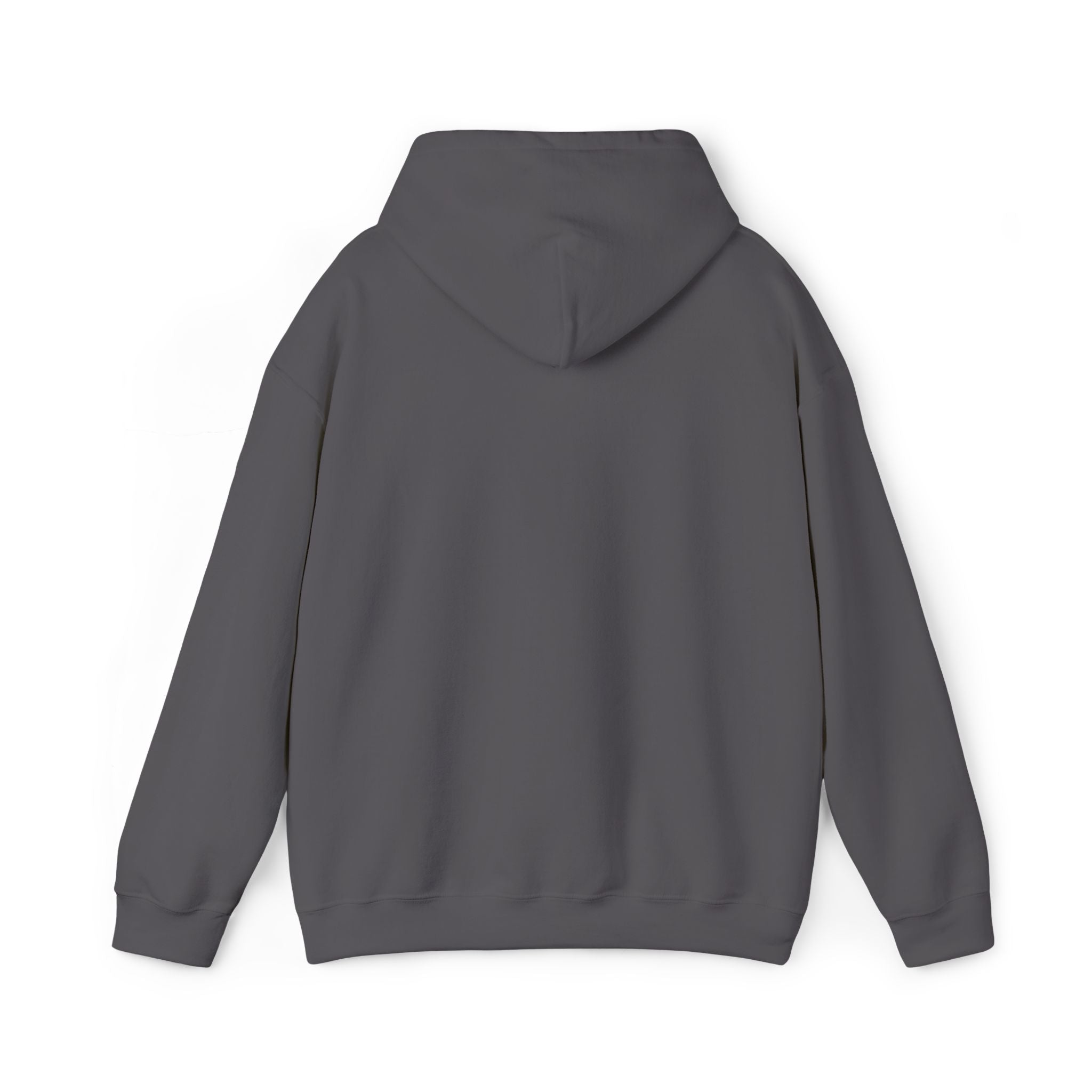Embroidered "Singh is king" hoodie